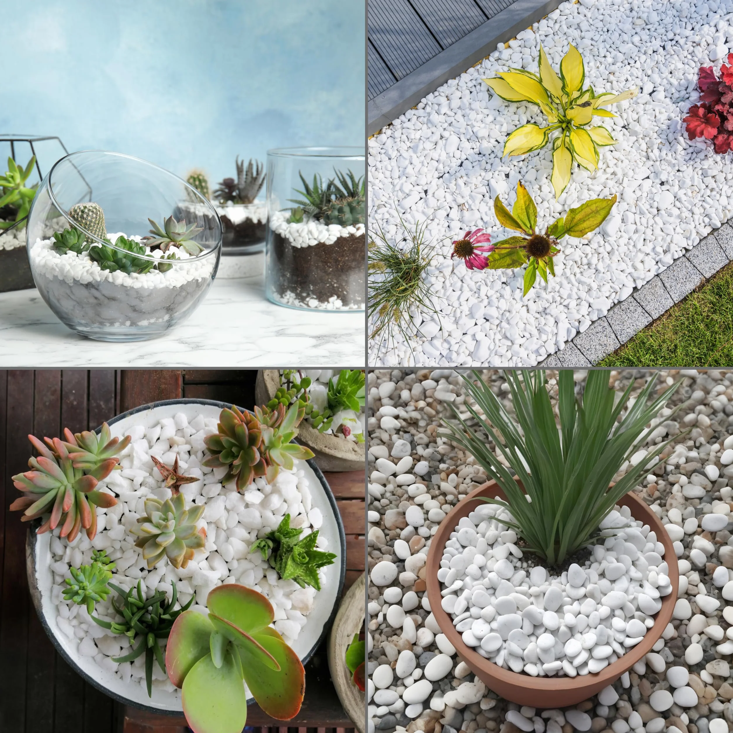Winter Shore 1.35kg Białe Kamienie Dekoracyjne - Kamienie Rzeczne do Akwariów, Terrariów, Doniczek, Ogrodnictwa, Wypełnienie Wazonów - Białe Otoczaki do Ogrodu Wewn. i Zewn.