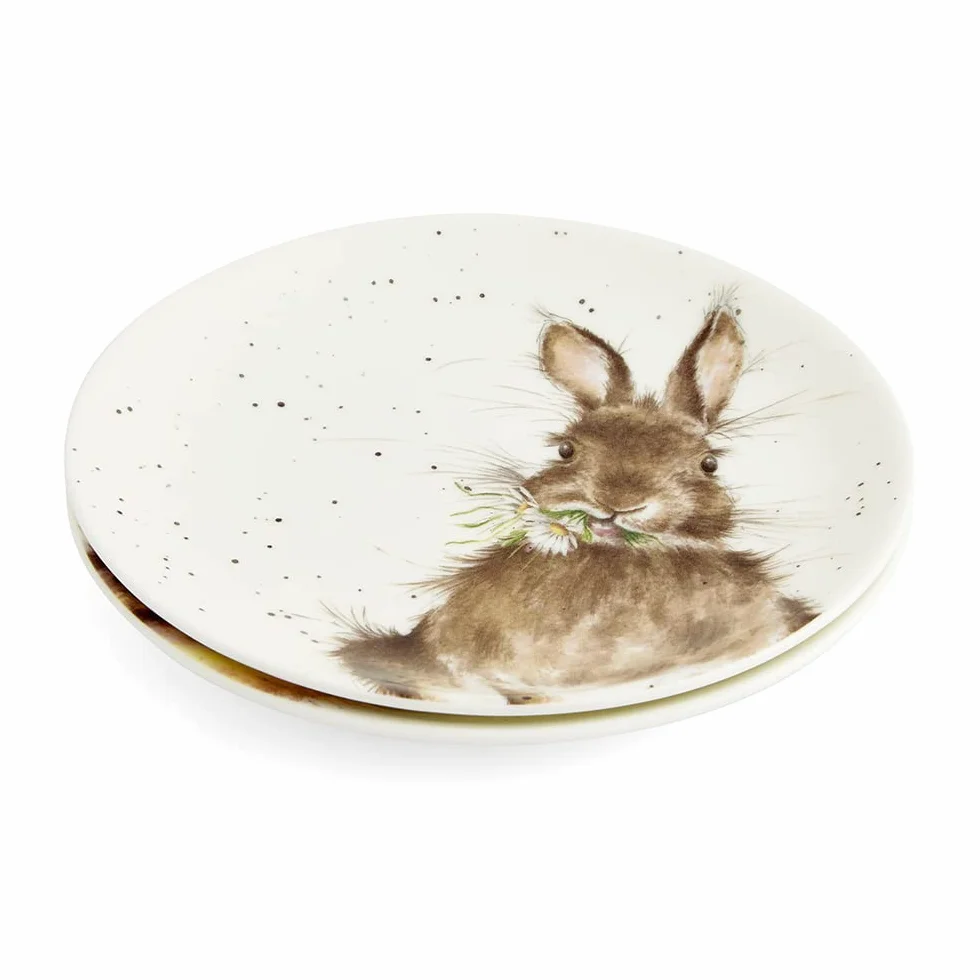 Portmeirion Home & Gifts Wrendale Coupe talerze zestaw 2 szt. (króliczka i kaczątka), wielokolorowe (WND3994-XW)
