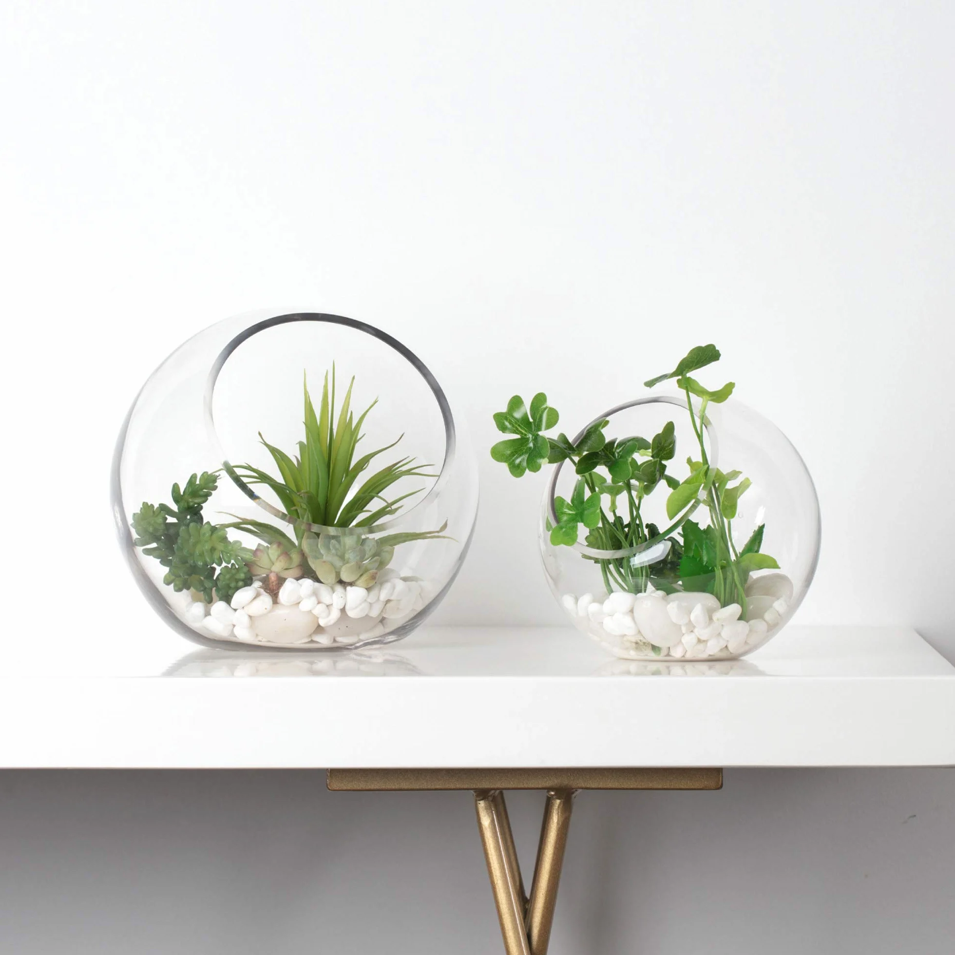 WGV 25 cm zestaw ściereczek do czyszczenia terrarium do roślin skośnych ciętych baniek