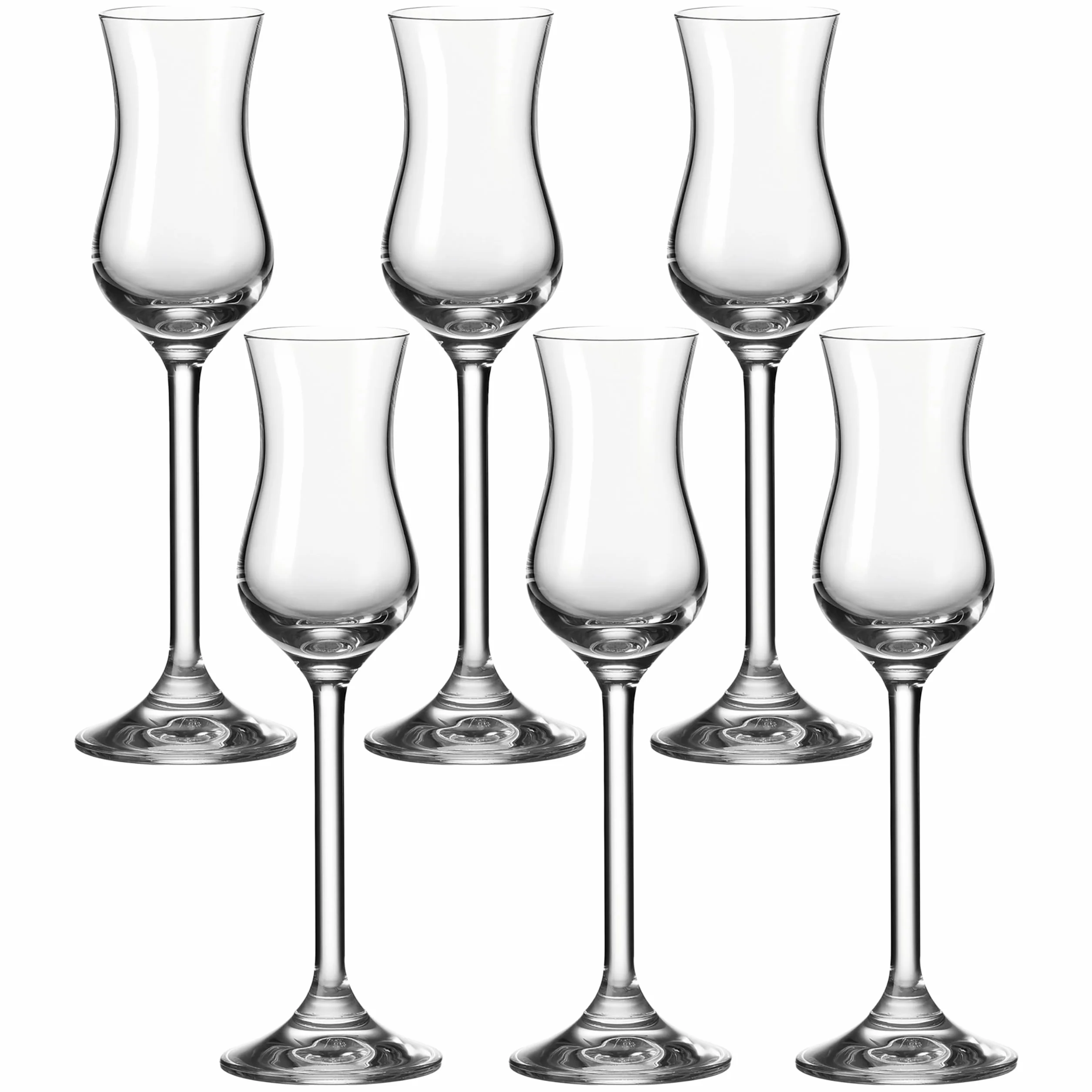 LEONARDO HOME Daily, wytrzymałe kieliszki do wódki Grappa, zestaw kieliszków o pojemności 100 ml, 6-częściowy, 6 sztuk (1 opakowanie), 6 sztuk