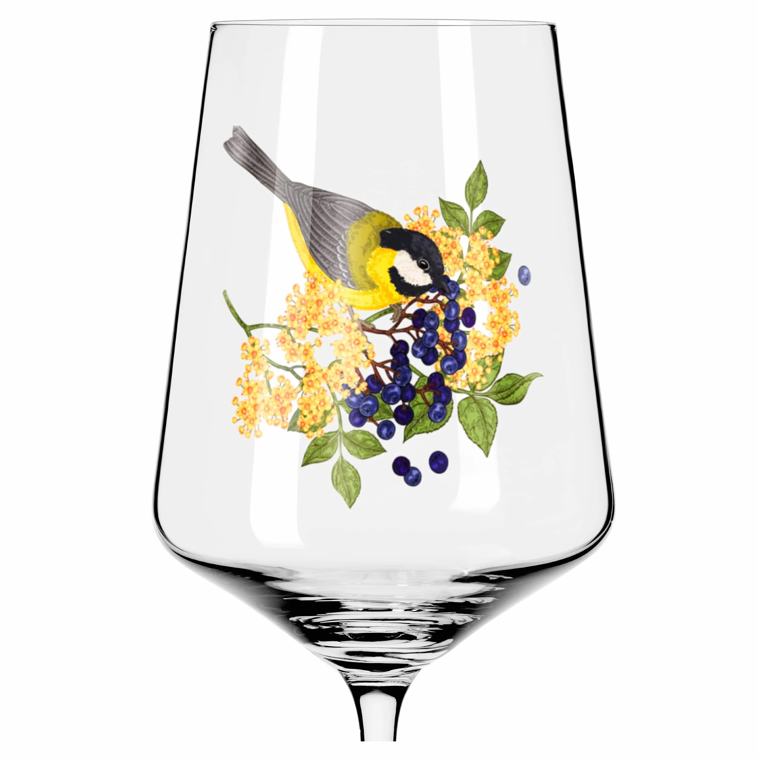 RITZENHOFF 2931015 Hugo słoik 500 ml - słoik na aperitif - seria letnia lina - motyw 15 z kolorowym ptakiem - Made in Germany