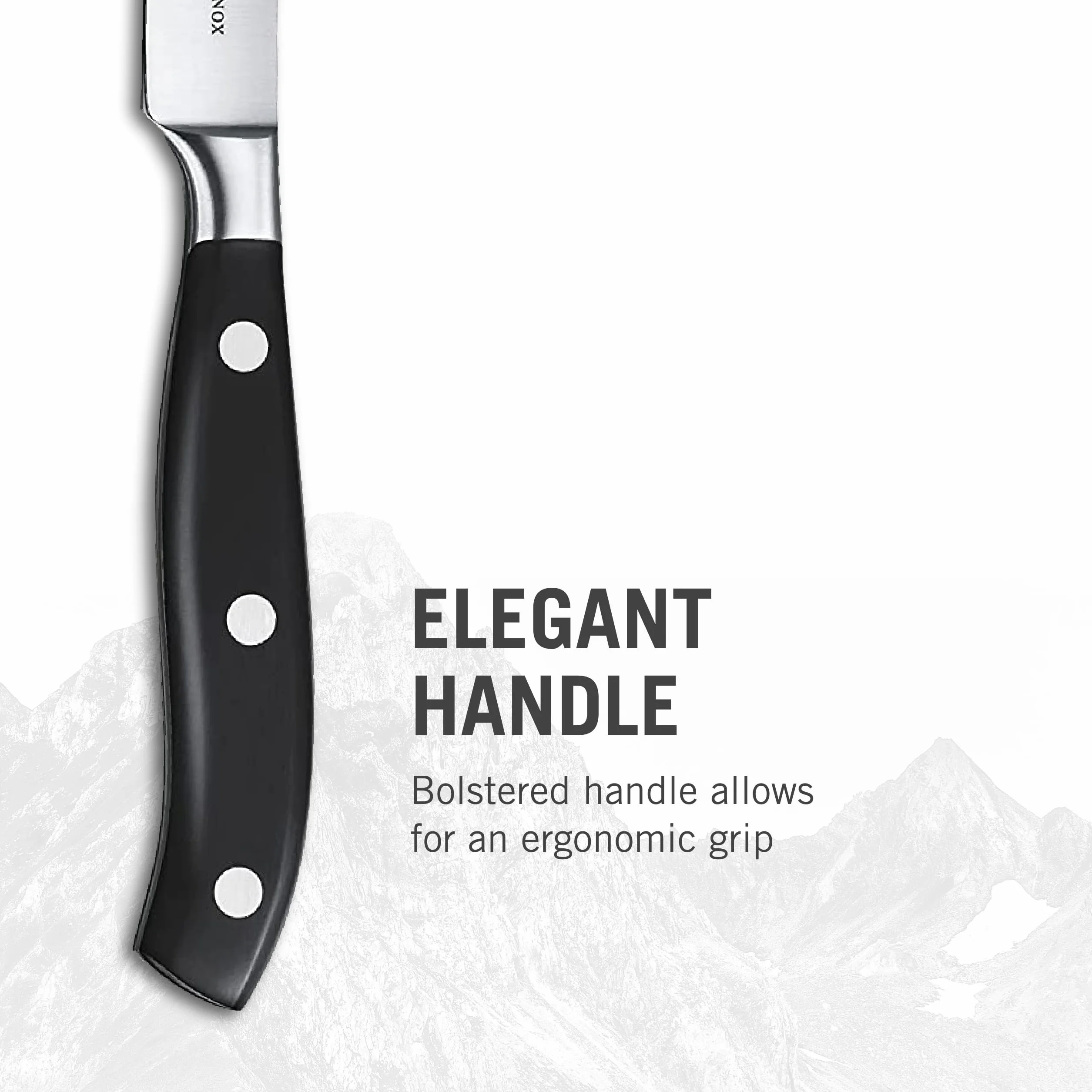 Victorinox Grand Maître Steakmesser 7.7203.12G extra scharfe Klinge Spülmaschinengeeignet Schwarz