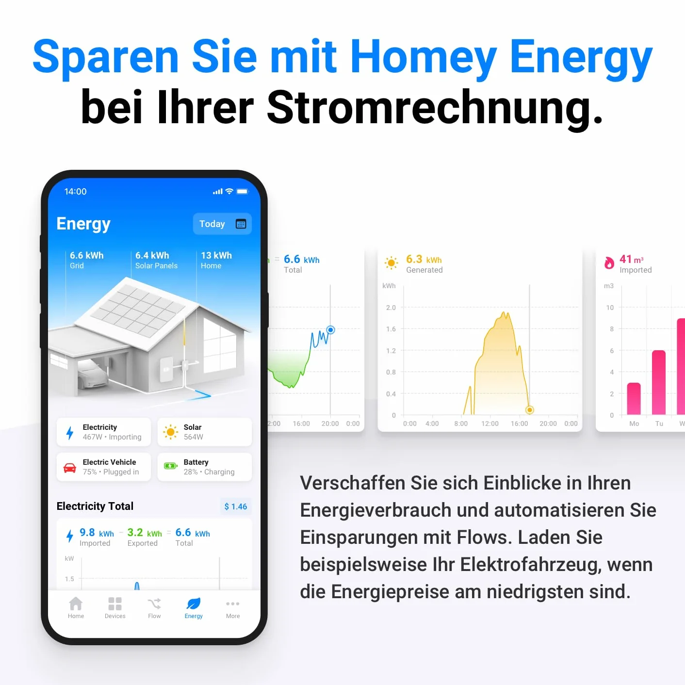 Homey Pro (2026)