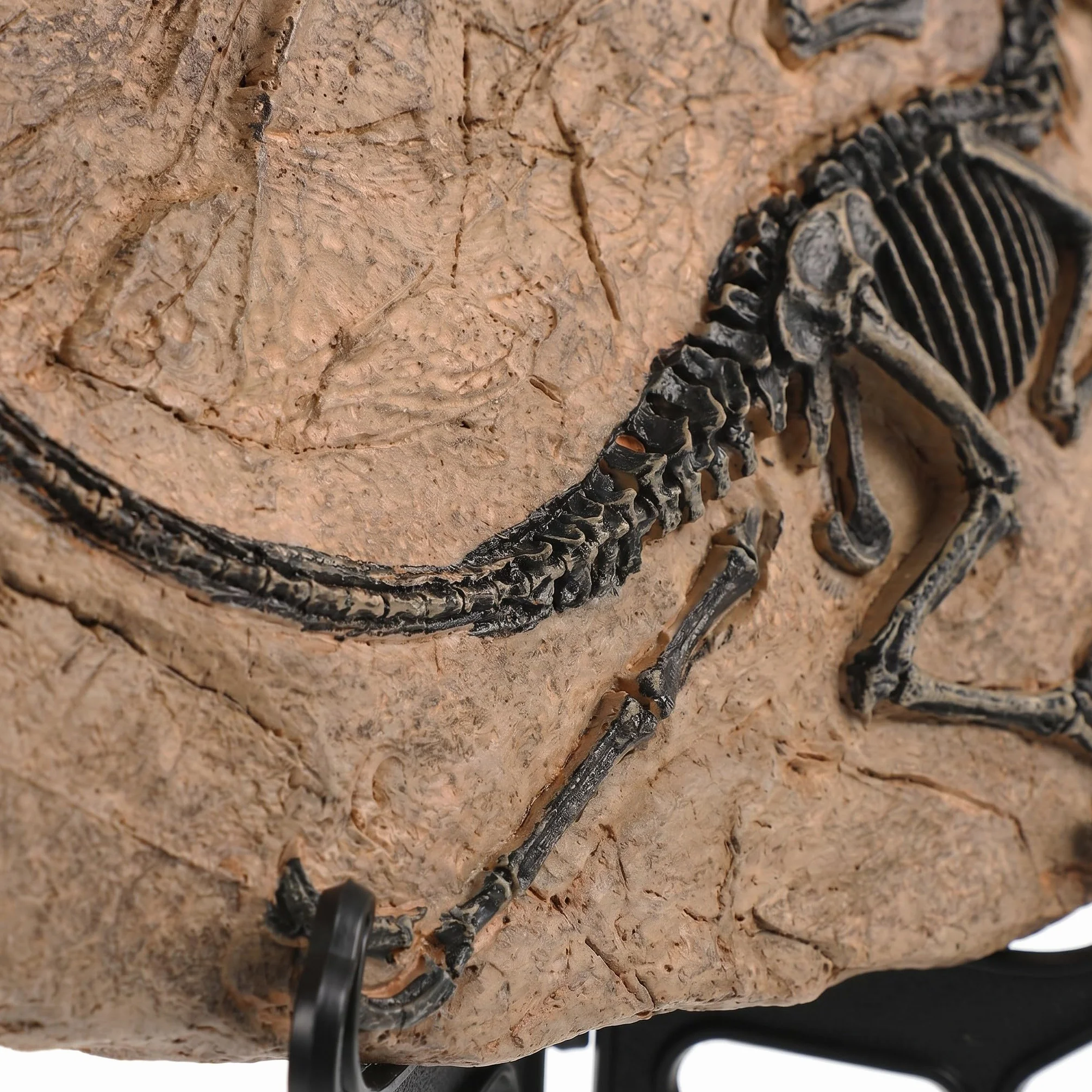 SHINEOFI 2 szt. żywiczne płytki ze szkieletem dinozaura - dekoracja w postaci sztucznego szkieletu tyranozaura - figurki z żywicy prehistorycznej czaszki na Halloween jako centralny element stołu