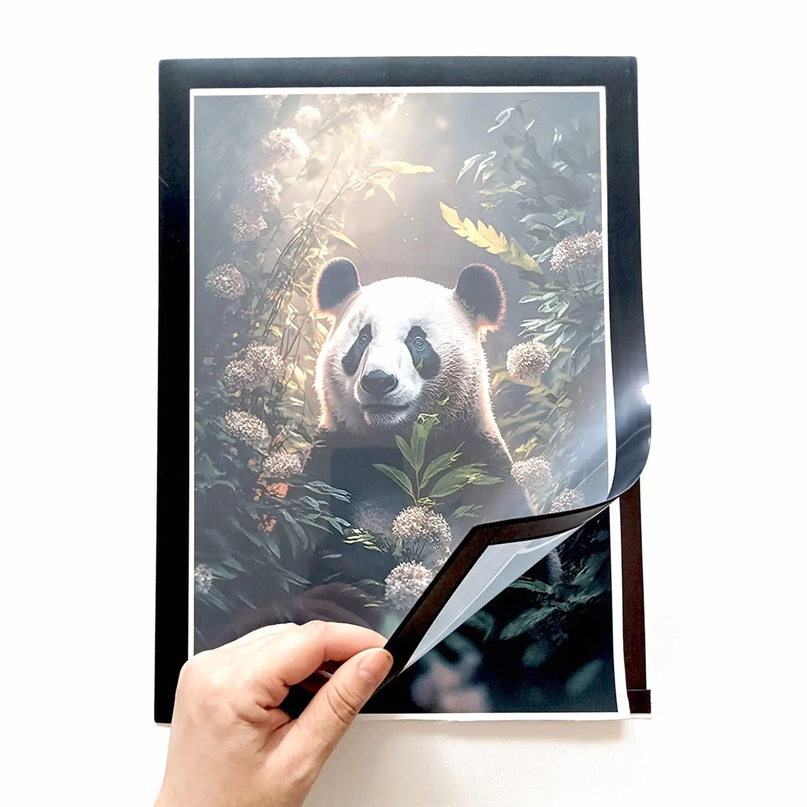 Magnetyczna ramka na zdjęcia, 8x12 cali A4 Certyfikat Nagrody Gumowe Ramki Magnetyczne Miękkie Samoprzylepne Malowanie Do Prezentowania Obrazów(Black 10pcs)