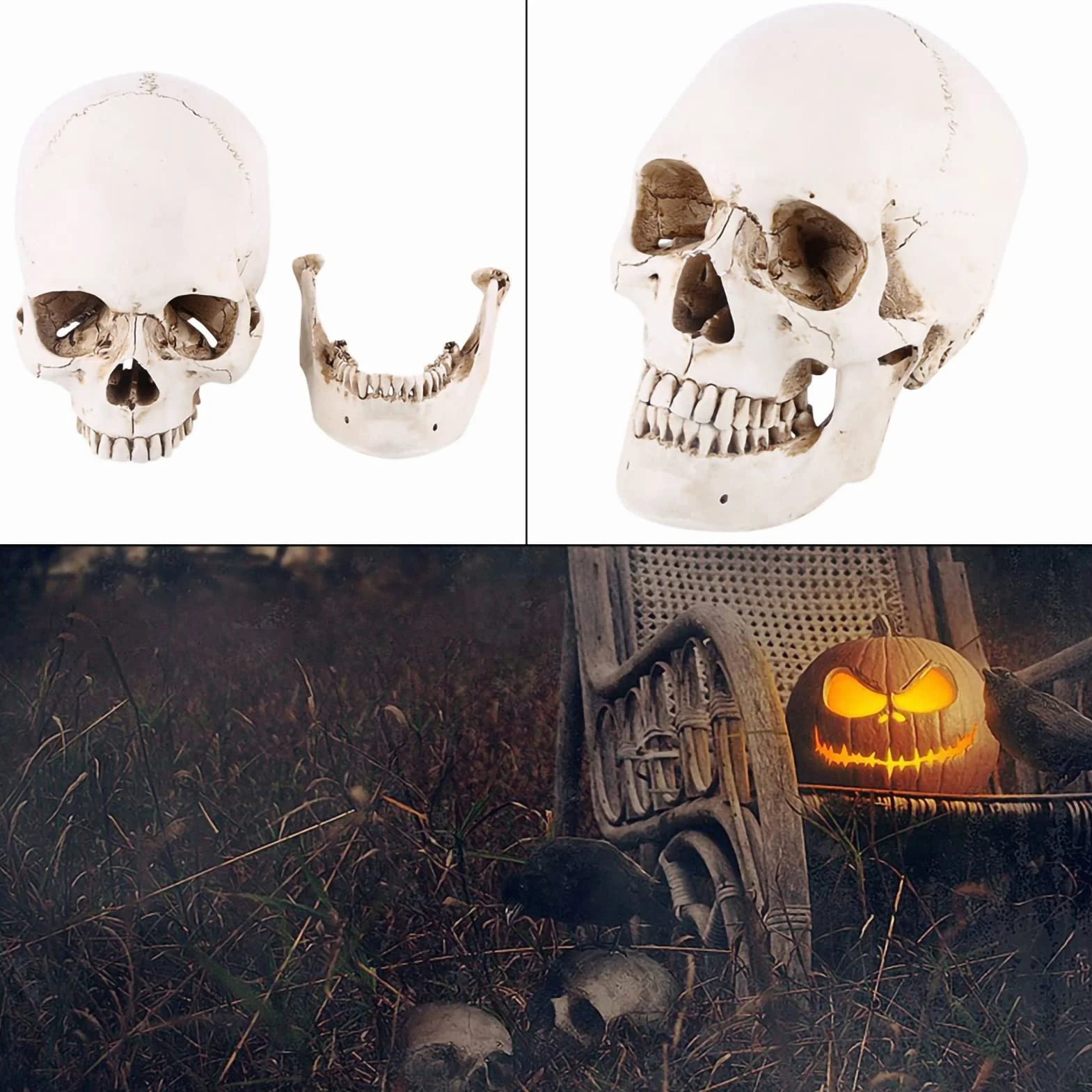 Wykonane z żywicy 1:1 ludzka czaszka replika żywicy model życiowy, czaszka do dekoracji Halloween modele medyczne