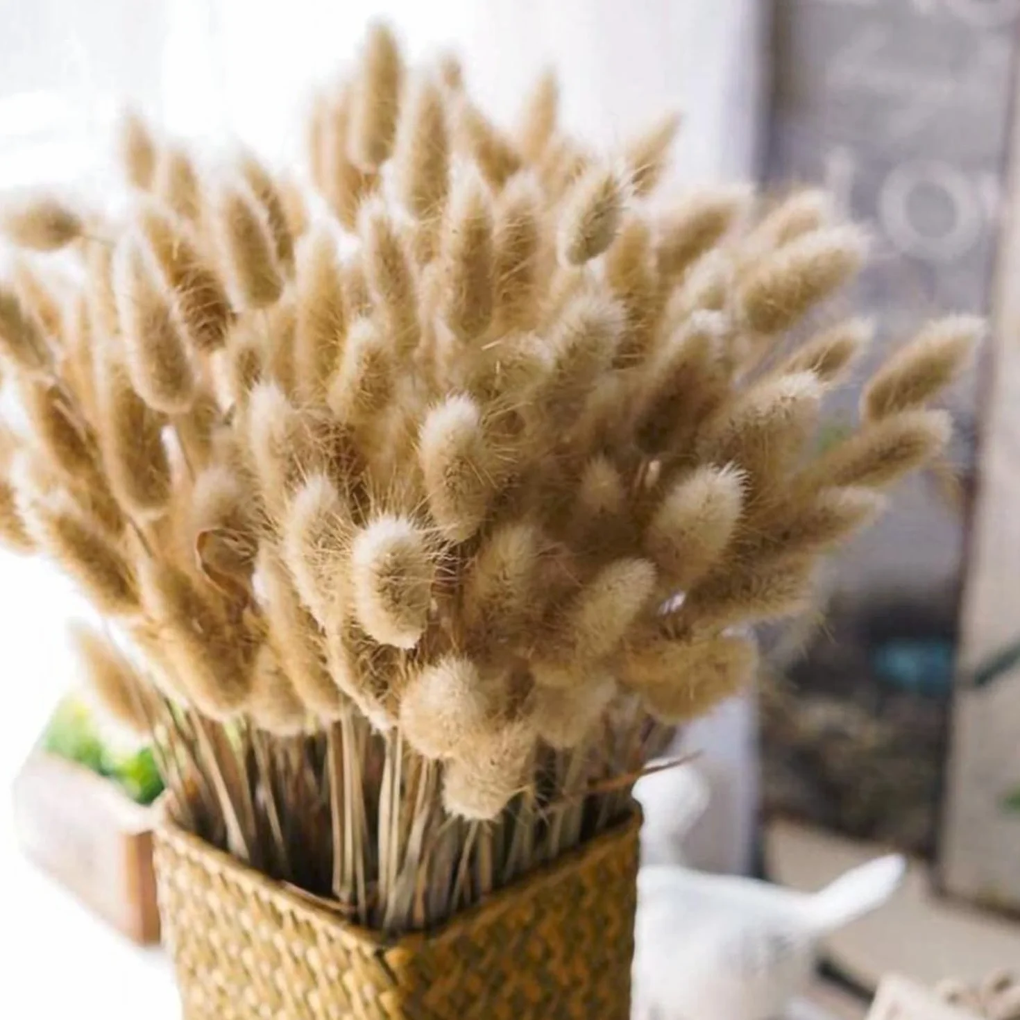 120 sztuk małej trawy pampasowej, 45 cm, suszone kwiaty, naturalny kolor, bukiet suszonych kwiatów, suszone kwiaty idealne na wesela, dekorację domu, imprezę domową, dekorację wazonu (kolor