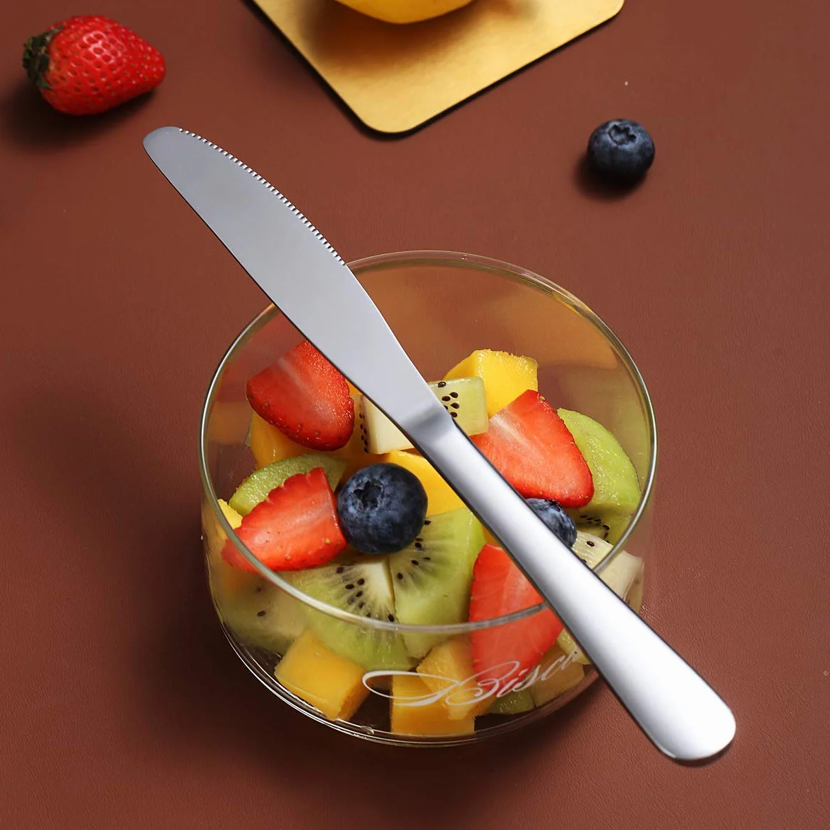 Kyraton 6-częściowy nóż do menu, stal nierdzewna, 22,8 cm, zestaw noży do steków, nóż stołowy, zestaw noży do masła, sztućce, nadaje się do mycia w zmywarce (srebrny)