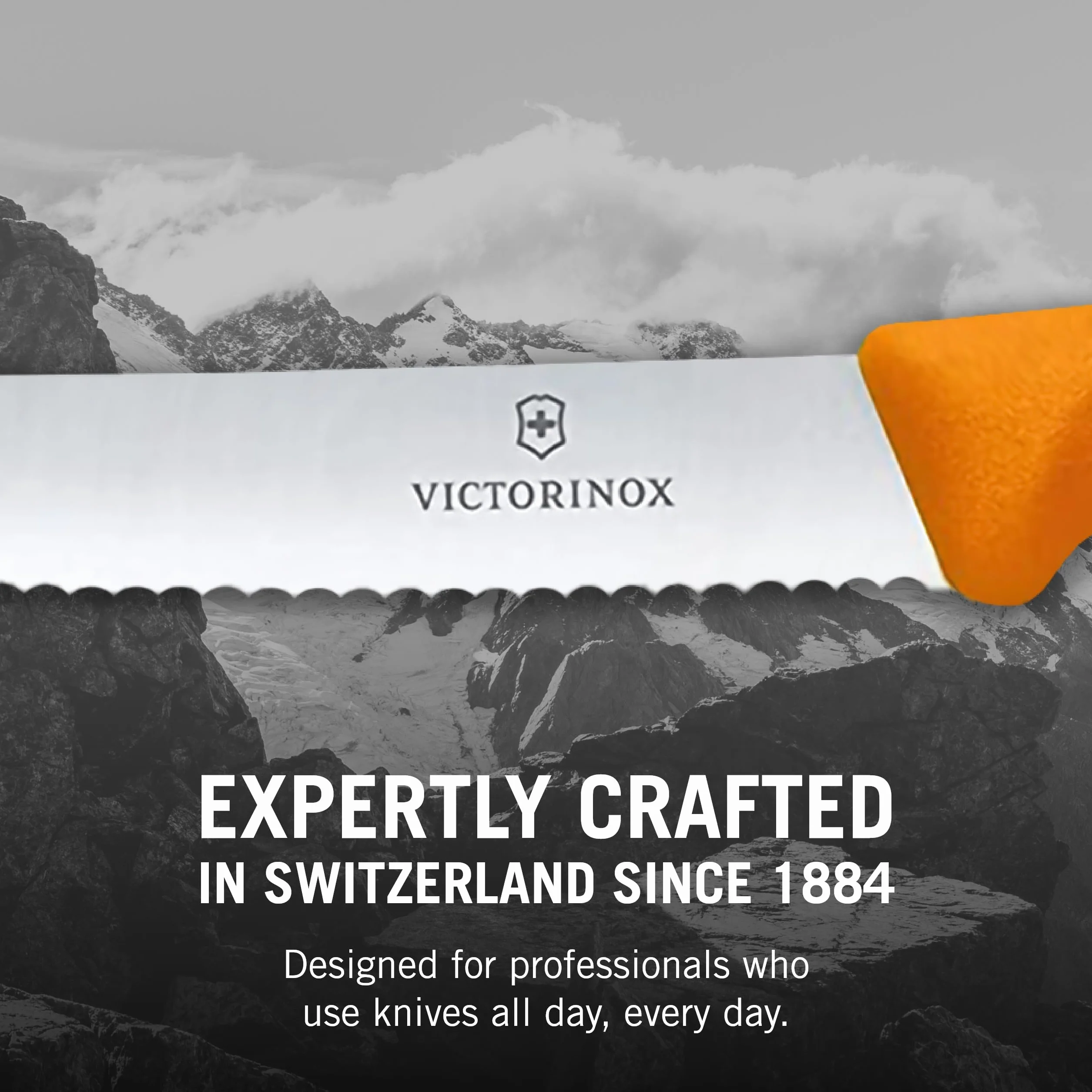 Victorinox Swiss Classic Tomaten- und Tafelmesser-Set, 6-teilig , Wellenschliff, 11 cm, mehrfarbig