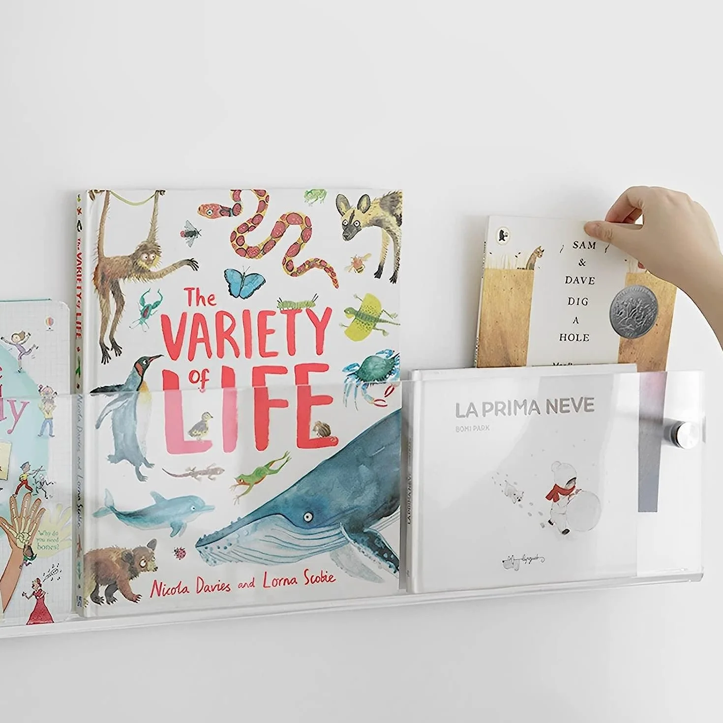 Akrylowy uchwyt na czasopisma, 2 sztuki, uchwyt na broszury, 61 cm stojak na gazety, modny wiszący regał na książki, regał do przechowywania literatury, do poczekalni, salonu, biura, przezroczysty, 61