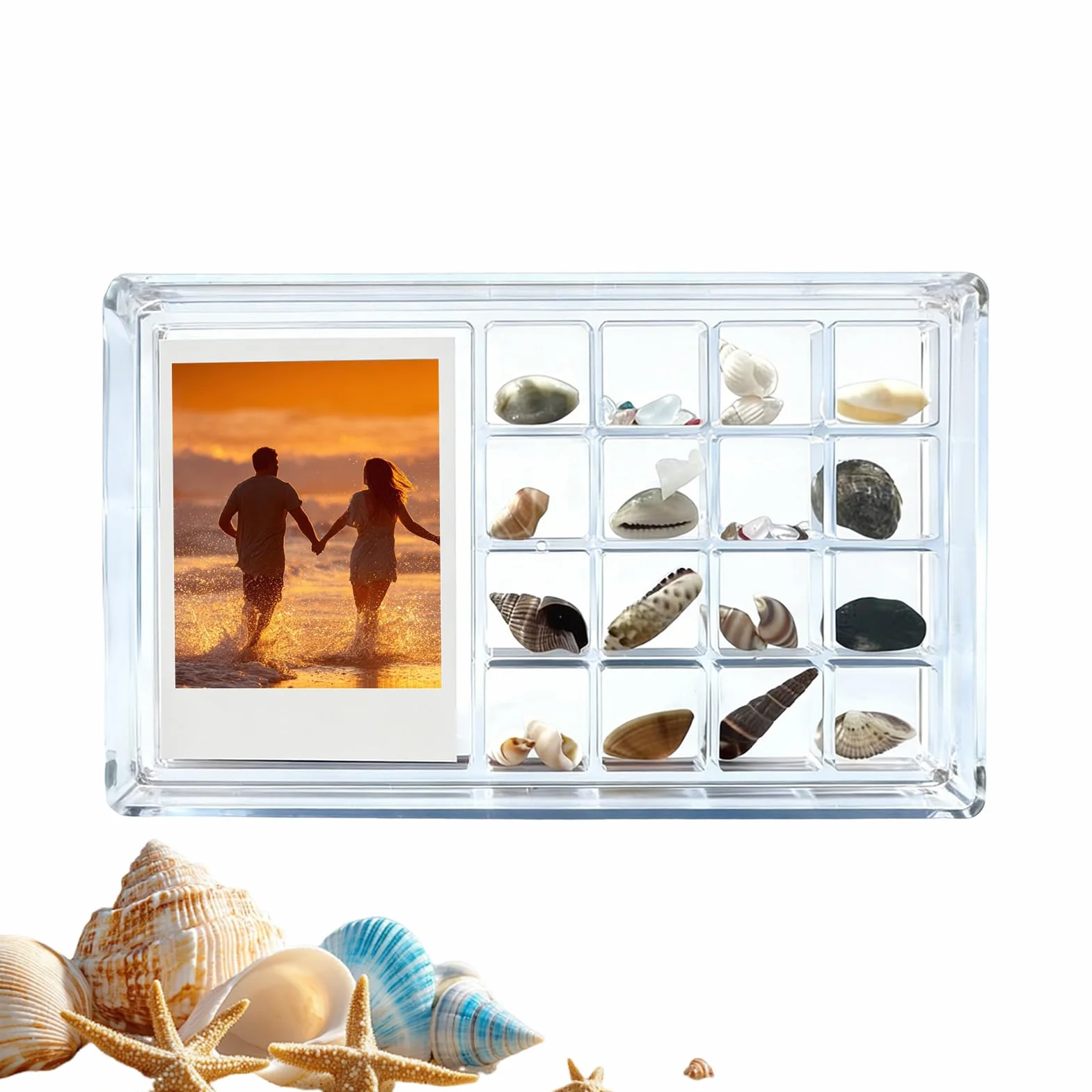 Seashell Collecting Storage Box, Magnetic Clear Acrylic Sea Shell Display Container, Acrylic Material, 17.8x11x1.4cm, for Beach Finds, Souvenirs