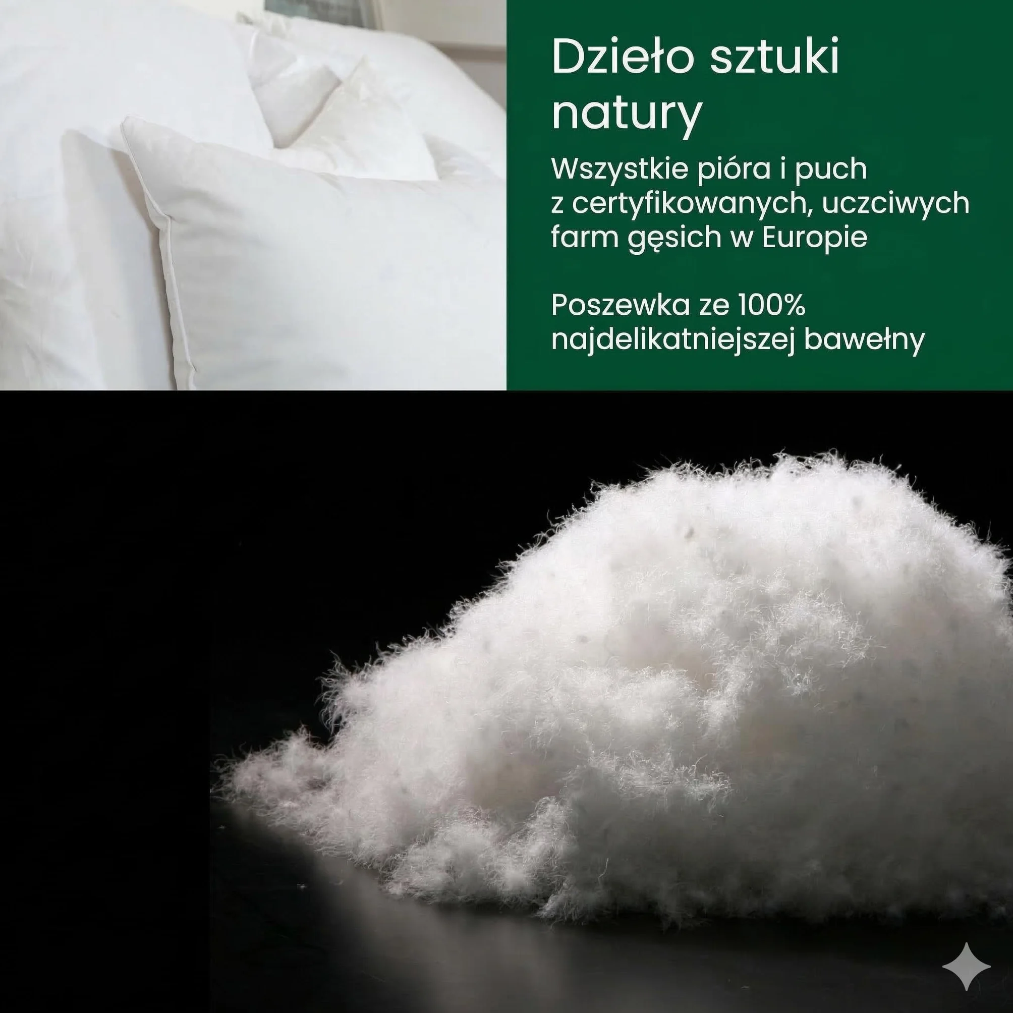 Premium de Luxe Poduszka Puchowa 60 x 70 cm - Made in Germany, 100% Bawełna, 3-Komorowa, Dla Alergików