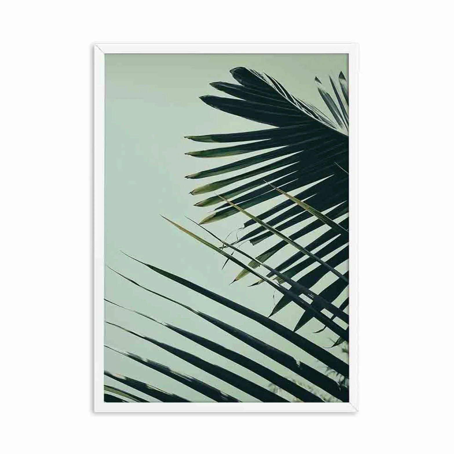 iYoucase Zielony liść palmowy plakaty i wydruki zielone liście sztuka ścienna obraz na płótnie natura obrazy ścienne do salonu sypialni wystrój domu 50 x 70 cm x 2 nieoprawione