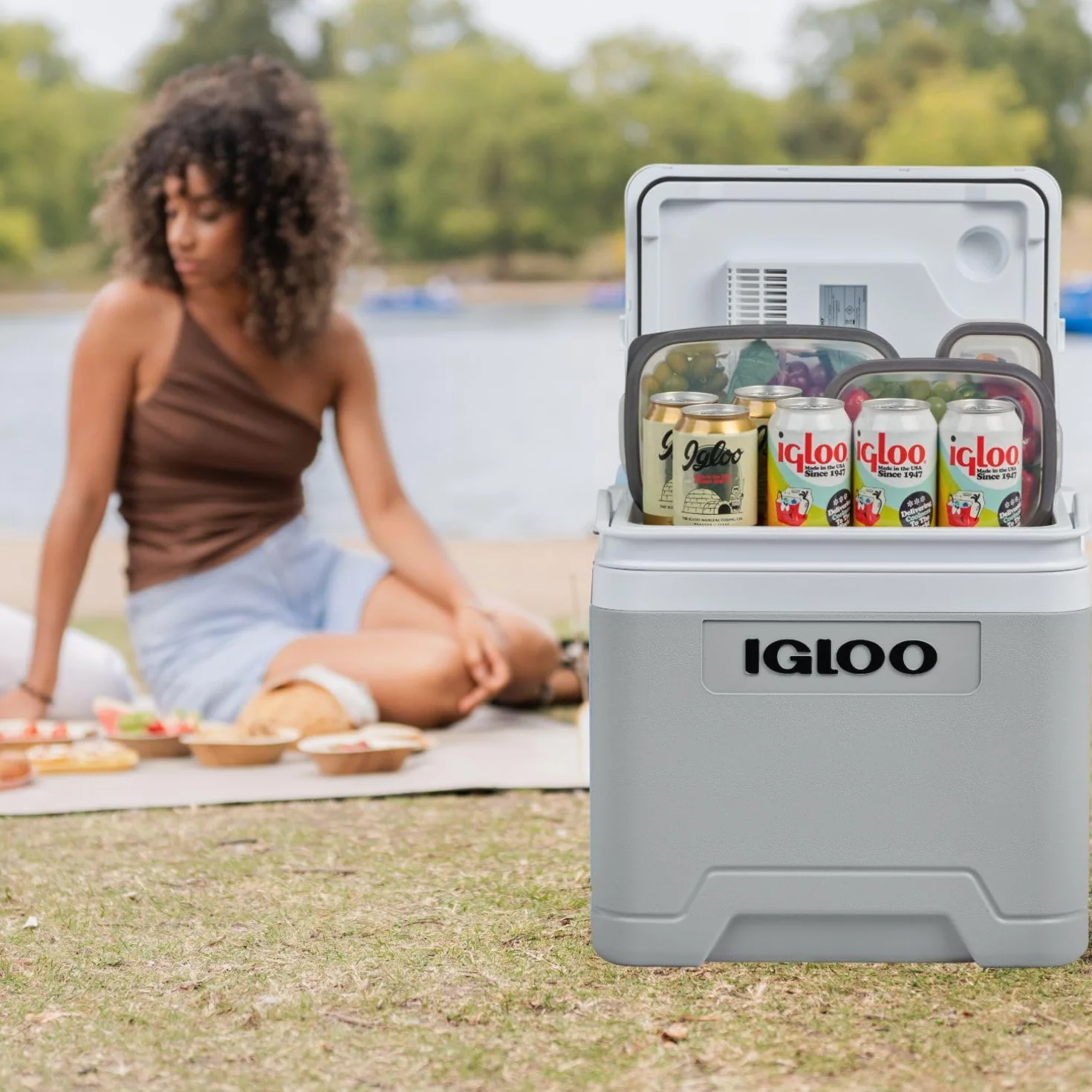 IGLOO IE27 elektryczna lodówka turystyczna 12V/230V, 26L – kompaktowa lodówka samochodowa na kemping, wakacje, łódź i festiwale, lekka i przenośna, ze schowkiem na kabel oraz trybem Eco/Max