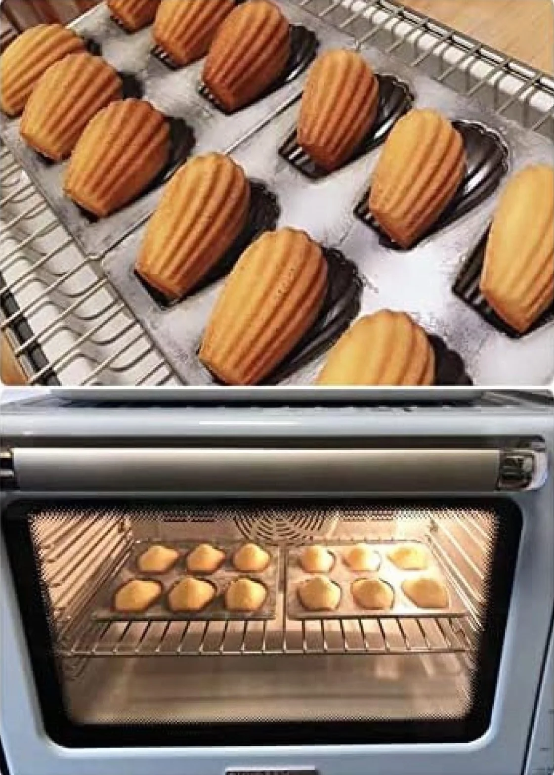 Muszla Muszle Forma do ciasta 6-wnękowa Klasyczna forma Madeleine Japonia Formy Pan Cookie Forma do ciastek Formy do ciast Pieczenie Nieprzywierająca forma Pan