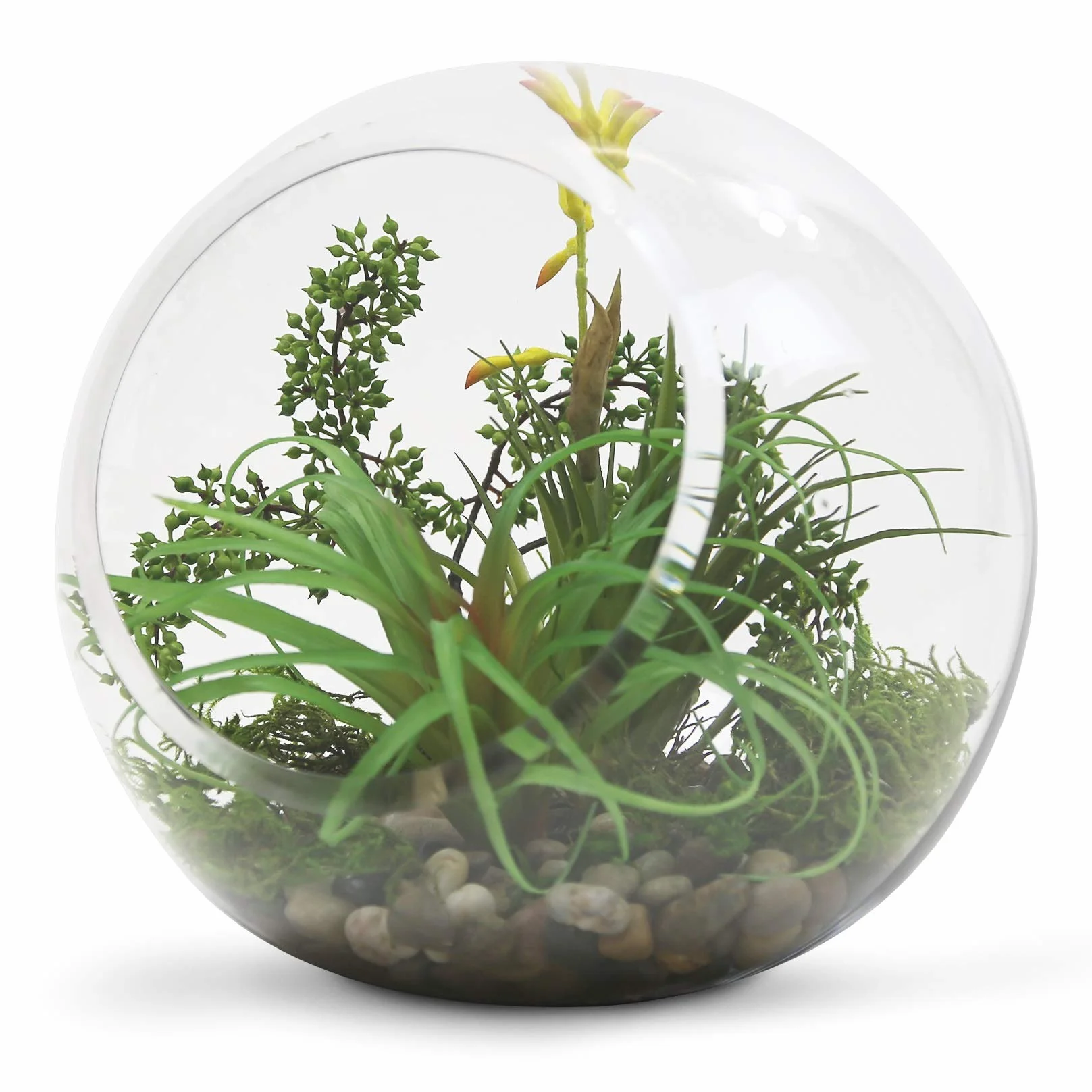 WGV 25 cm zestaw ściereczek do czyszczenia terrarium do roślin skośnych ciętych baniek