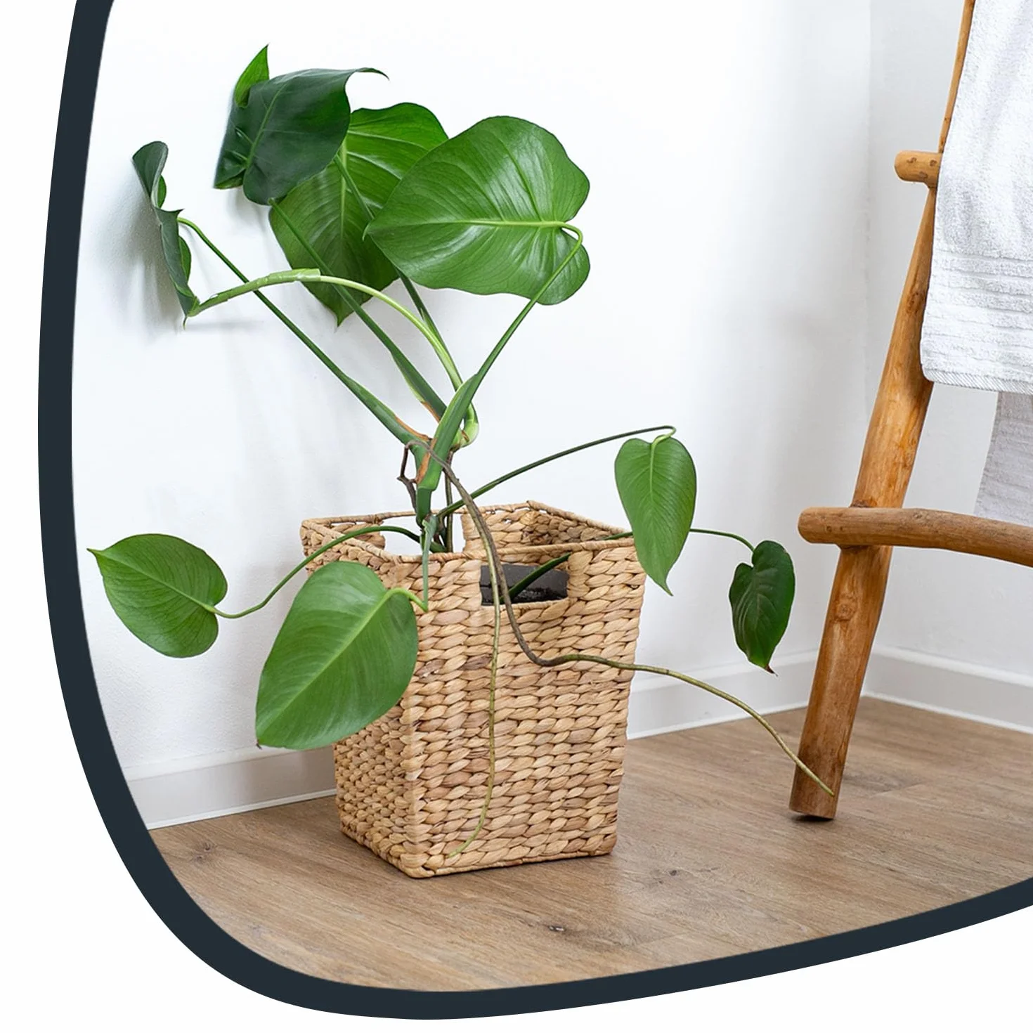 HMF Kosz na śmieci pleciony z hiacyntu wodnego kwadratowy 25 x 25 x 30 cm 2 uchwyty