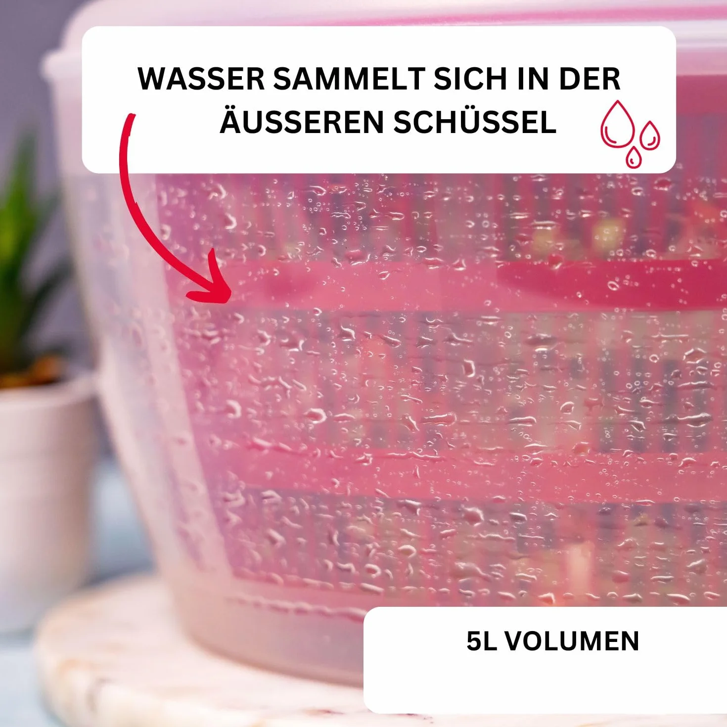 Westmark Wirówka do Sałaty, Pojemność 5 Litrów, Ø 26 cm, Tworzywo Sztuczne, Bpa-Free, Fortuna, Kolor Przezroczysty, Niebieski, 2432224B