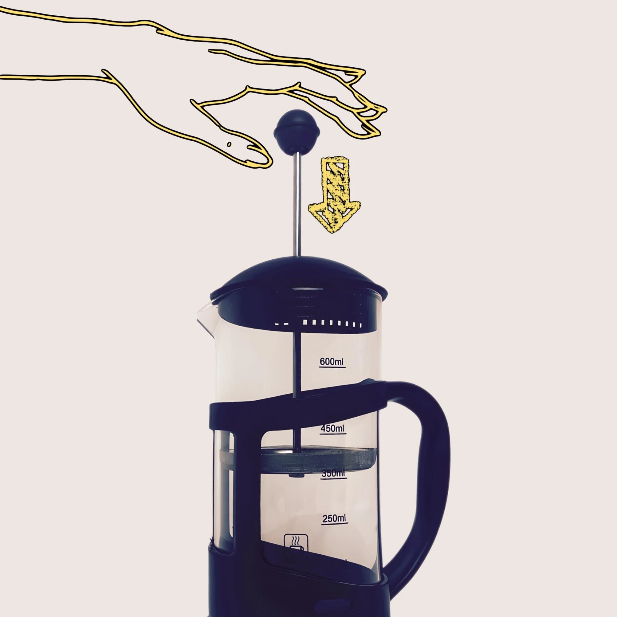 Nozzy French Press Ekspres do kawy, zaparzacz do kawy i herbaty (600ml)