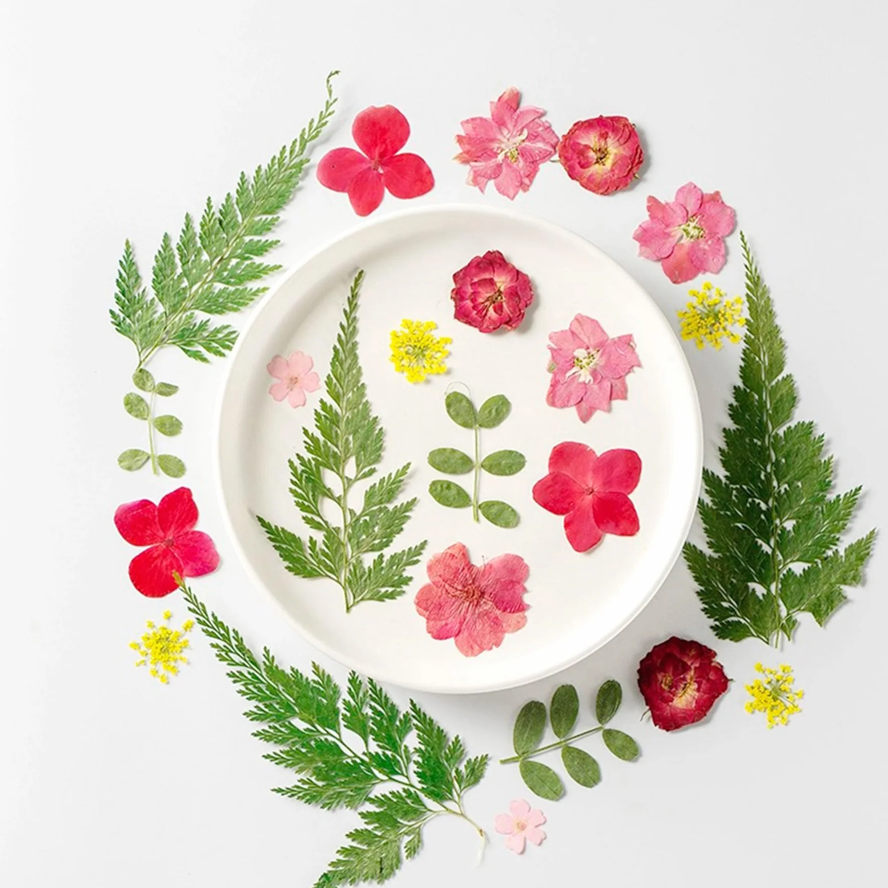 Cayway Naturalne suszone prasowane kwiaty, naturalne suszone prasowane liście, liście do tłoczonych liści, rękodzieło artystyczne, DIY, dekoracje, różowe