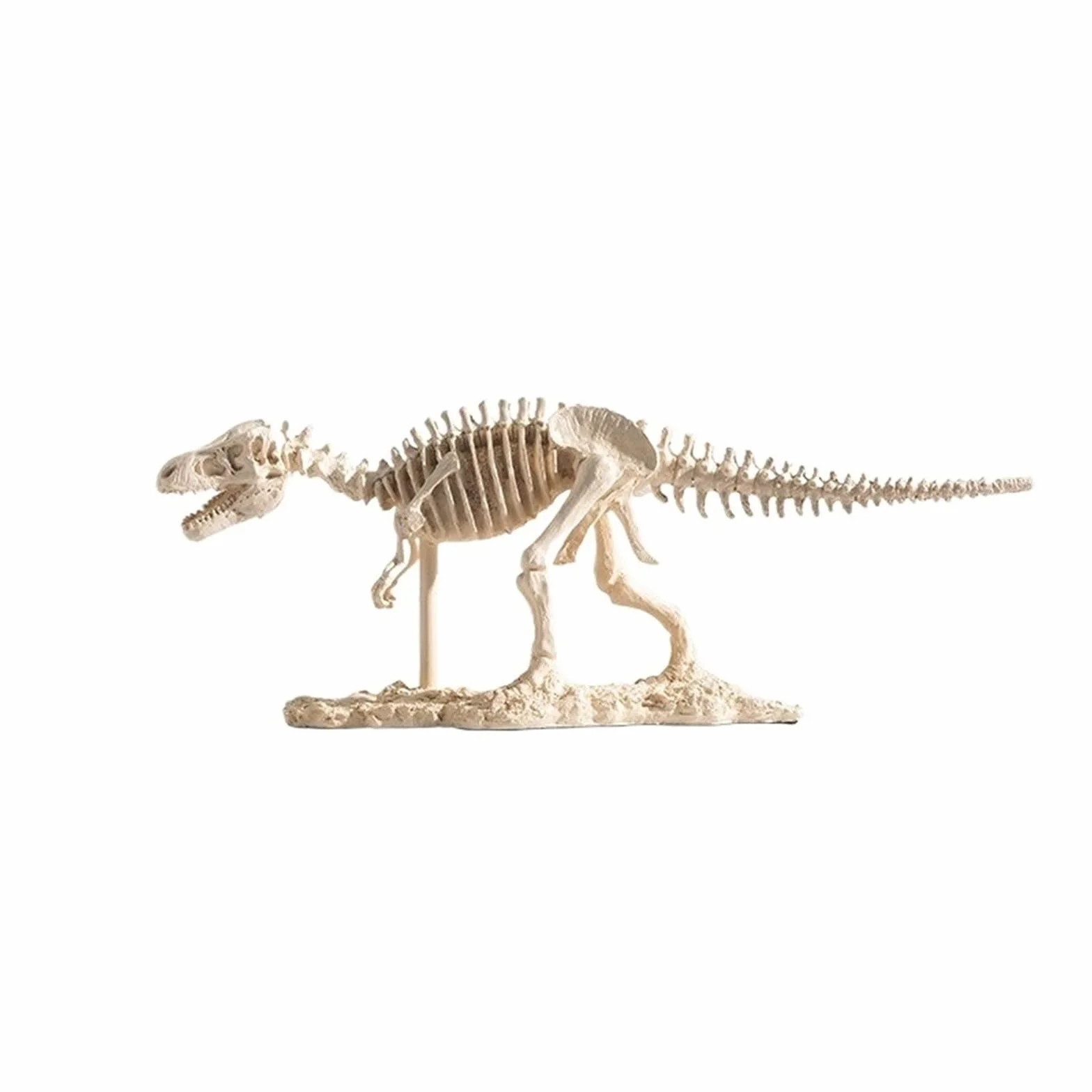 Rzeźby Realistyczna rzeźba szkieletu Tyrannosaurus Rex żywica dinozaur skamielina wystrój edukacyjna figurka kolekcjonerska Ornament
