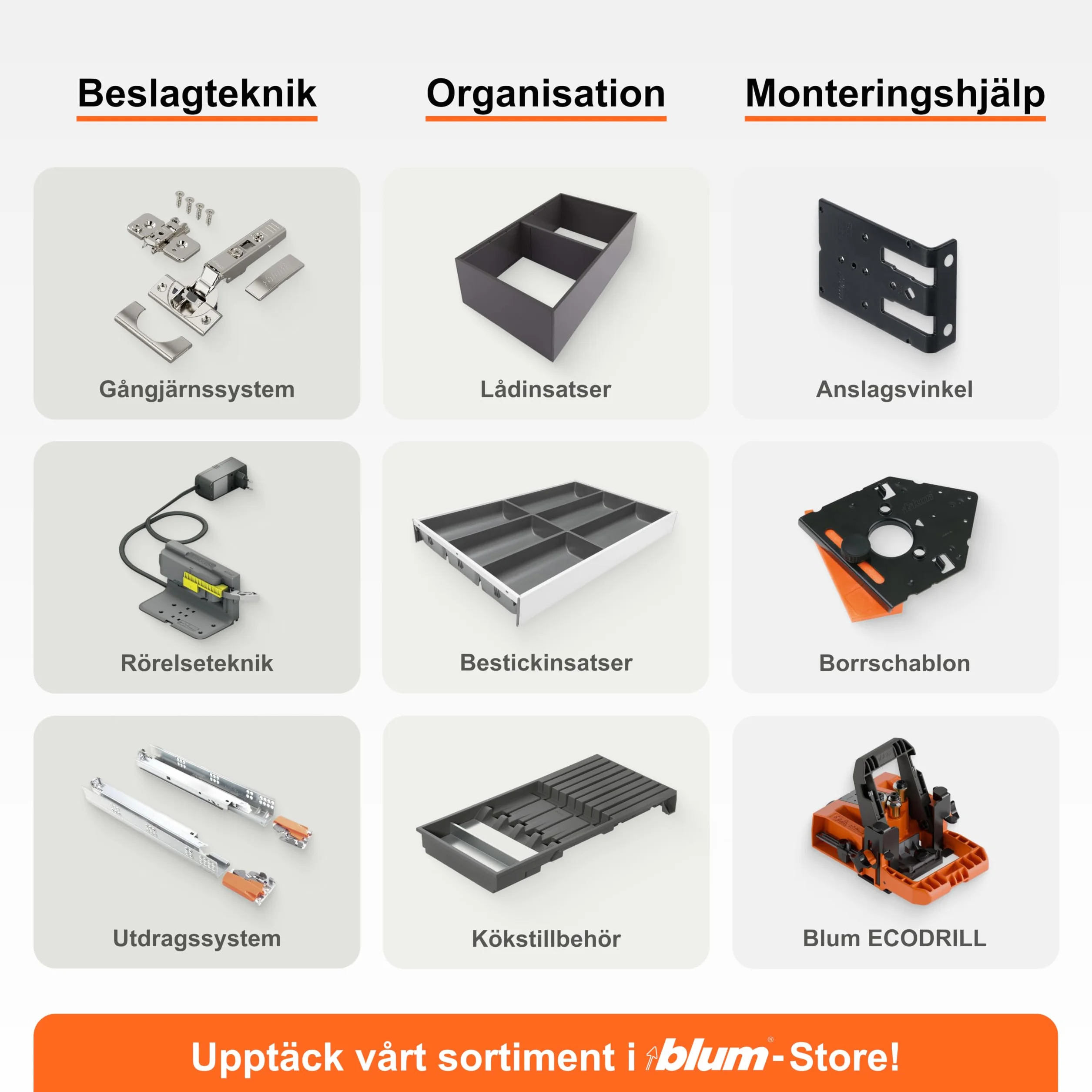 blum AMBIA-LINE wkład na sztućce | premium organizer szuflady do nowoczesnych kuchni i mebli | porządkuje sztućce | z nóżkami antypoślizgowymi | 42×30×5 cm | Dąb Nebraska