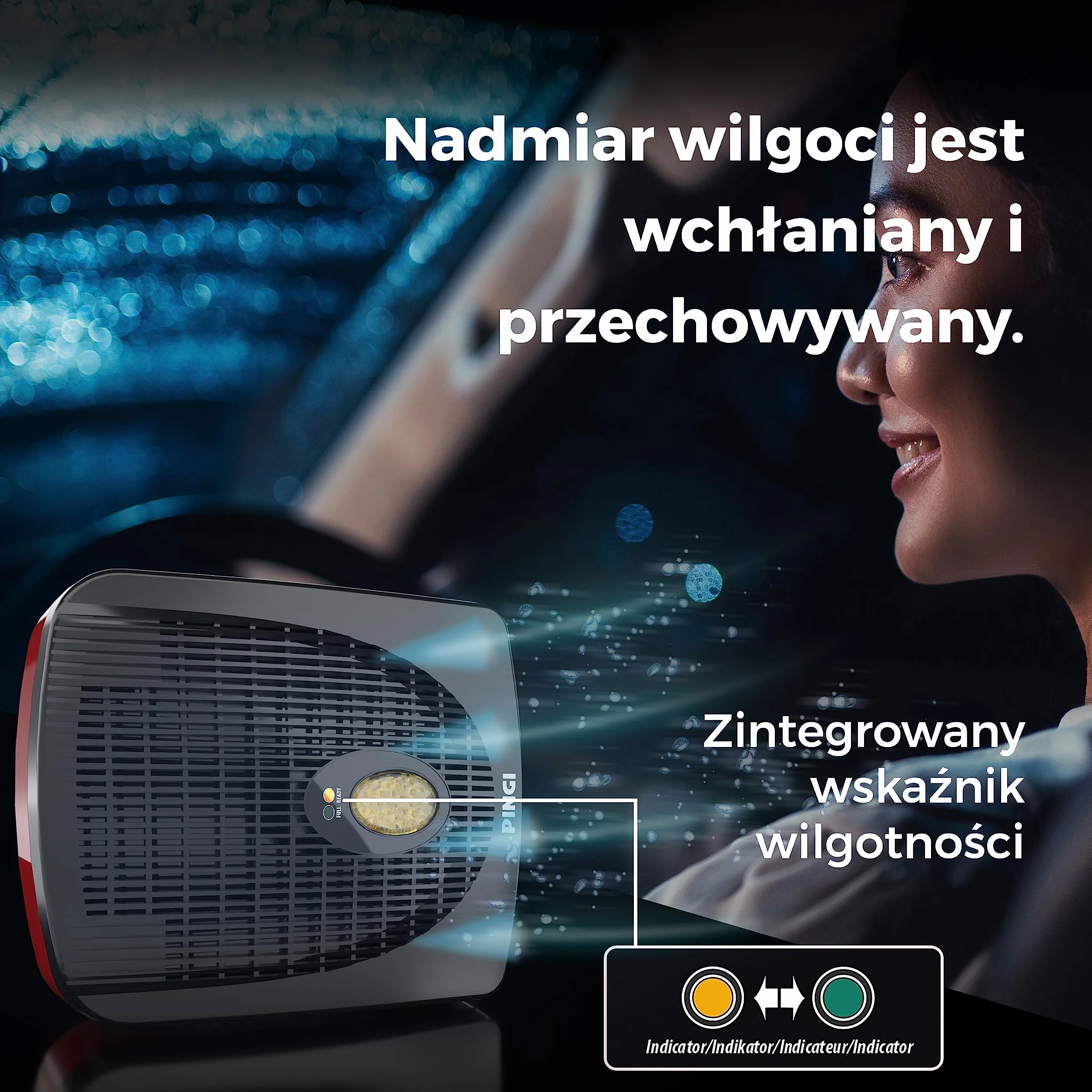 PINGI Elektryczny Osuszacz Powietrza Do Samochodu i Innych Pojazdów z Wskaźnikiem Wilgotności | Przenośny Elektryczny Osuszacz Powietrza Zwalcza Wilgoć, Kondensację i Wilgotność