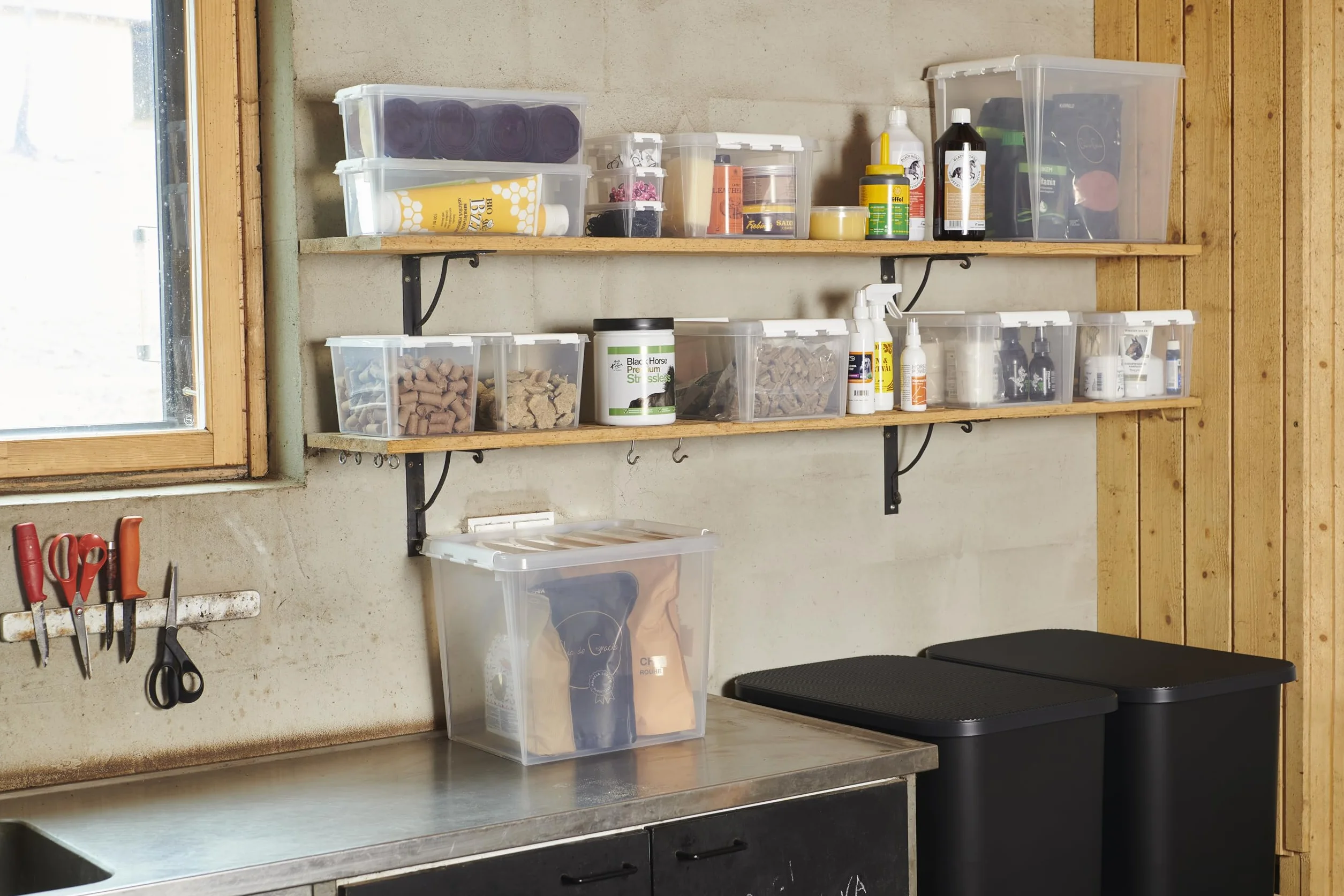 SmartStore Małe plastikowe pudełka do przechowywania 0,3 l zestaw 10 sztuk przezroczyste