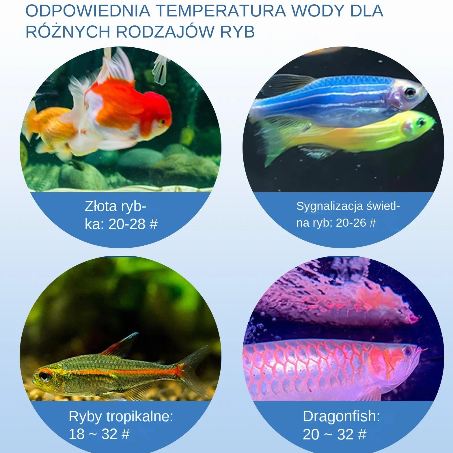 Termometr do Akwarium,Cyfrowy Termometr - Dotykowy Monitor Z Wyświetlaczem LED Dokładny Pomiar Do Domu Sklepu Zoologicznego Szkolnych Projektów Naukowych