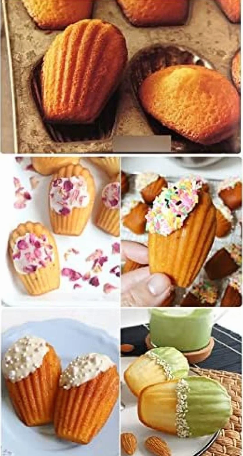 Muszla Muszle Forma do ciasta 6-wnękowa Klasyczna forma Madeleine Japonia Formy Pan Cookie Forma do ciastek Formy do ciast Pieczenie Nieprzywierająca forma Pan