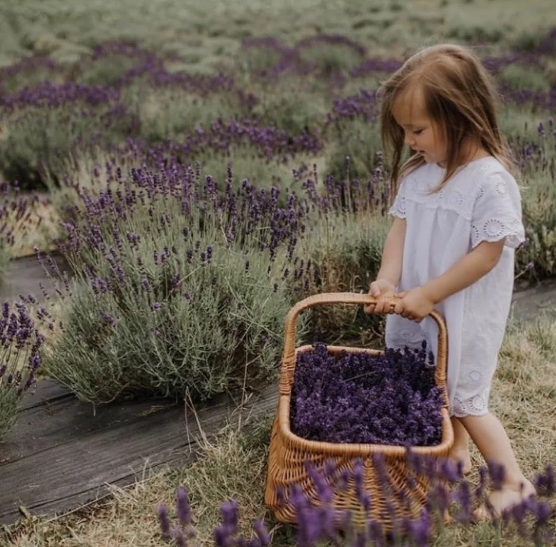 e-wicker24 Kosz na zakupy z wikliny, naturalny kolor, kosz na prezent