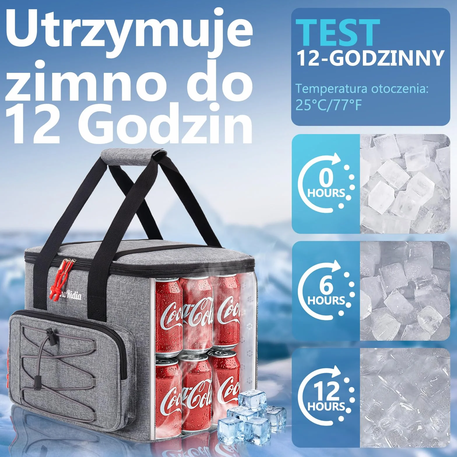 Miękka torba chłodząca 20L, Izolowana średnia żywność, piknikowa Termiczna dla mężczyzn, kobiet i dorosłych, Spakowana plażę, kemping, grill, rodzinne zajęcia na świeżym powietrzu, Szara