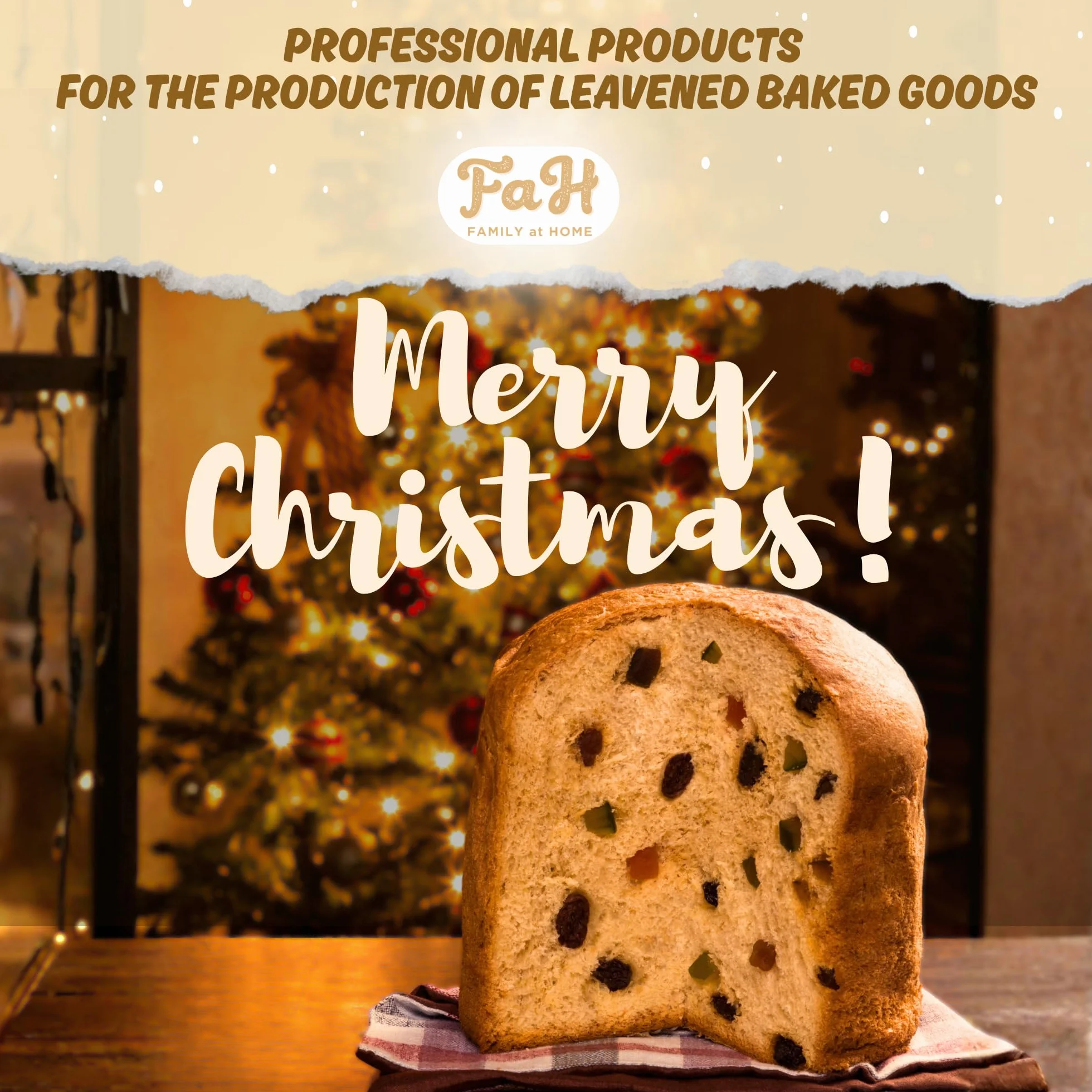 Foremki Panettone 1 kg (5 sztuk) papier falisty celuloza mikrofalowa do 220°C
