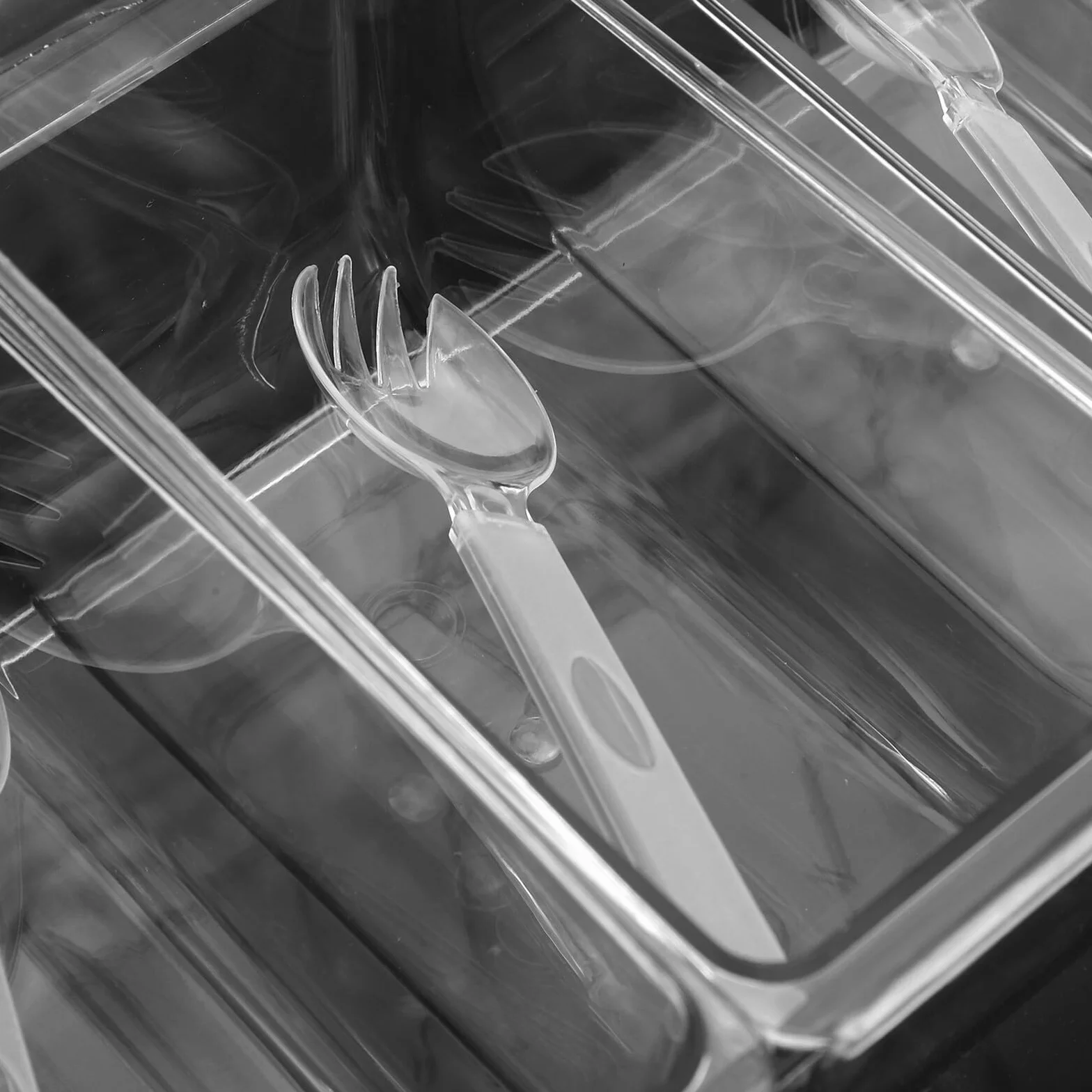 Chłodzony Pojemnik Do Przypraw z Pokrywką Plastikowa Tacka z Przegródkami Do Serwowania Sałatek Owoców i Lodów Przyjęcia Praktyczny i Taco Baru