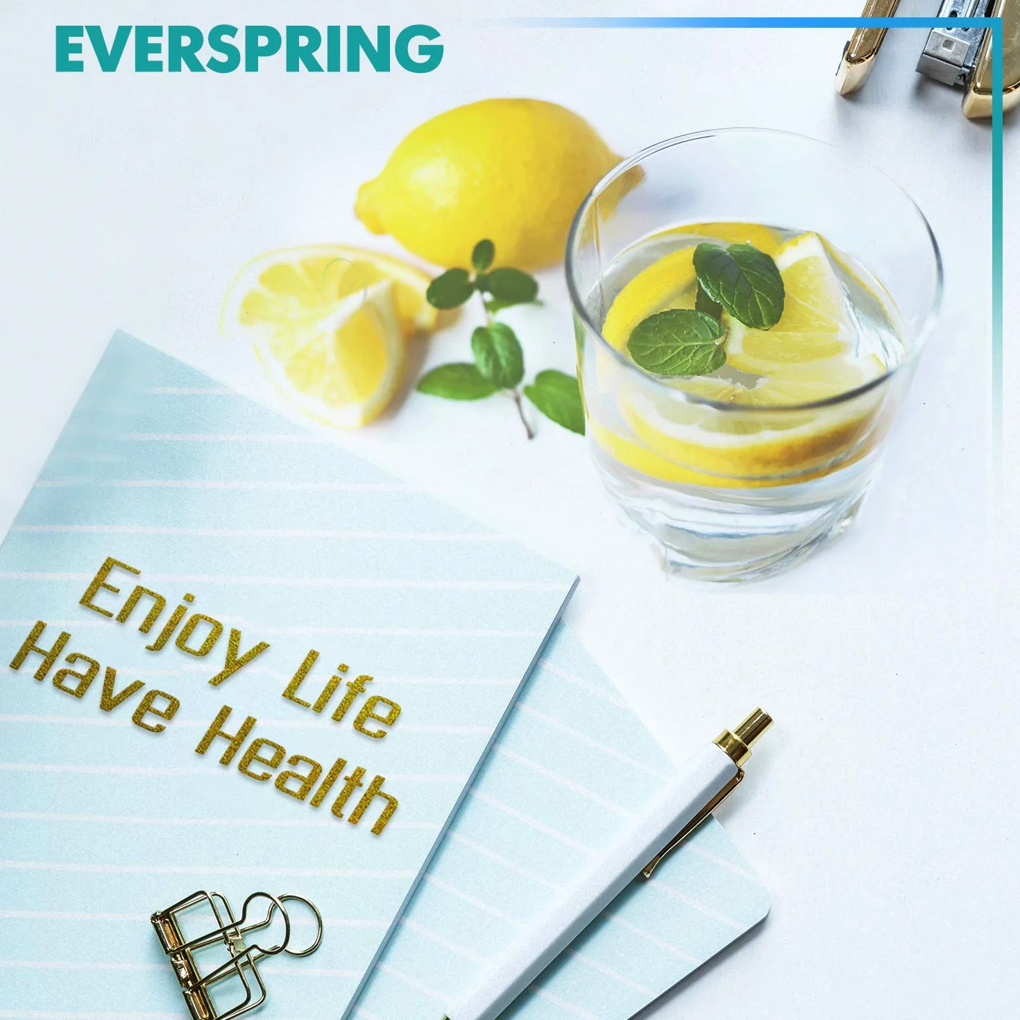EVERSPRING Filtr wody do lodówki, Kompatybilny z Samsung DA29-00003F, DA29-00003G, Aqua Pure Plus Hafin, DA29-00003B, DA29-00003A, DA97-06317A, RFC1100A, 2 sztuki RWF1100A