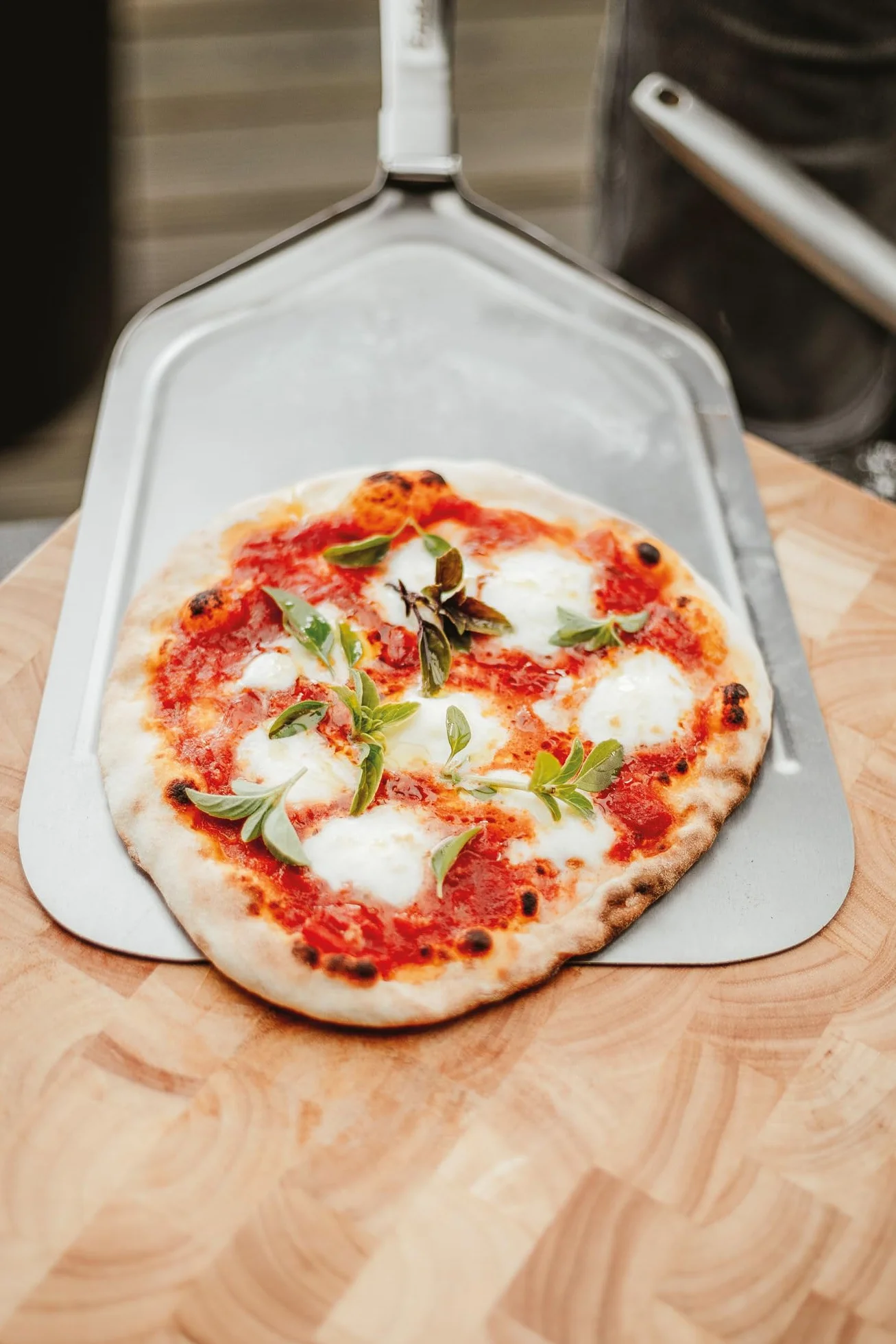 Enders Łopatka do pizzy składana ze stali nierdzewnej ergonomiczny uchwyt Soft Touch