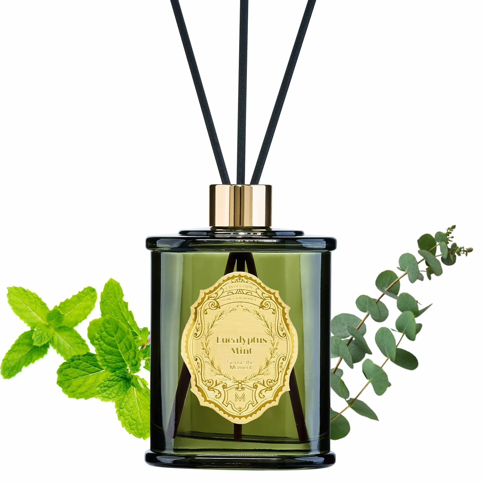 M&SENSE 8.4 oz Large Reed Diffuser For Home | Eucalyptus Mint Scent Oil Diffuser with Sticks | Bedroom Bathroom Living Room Decor