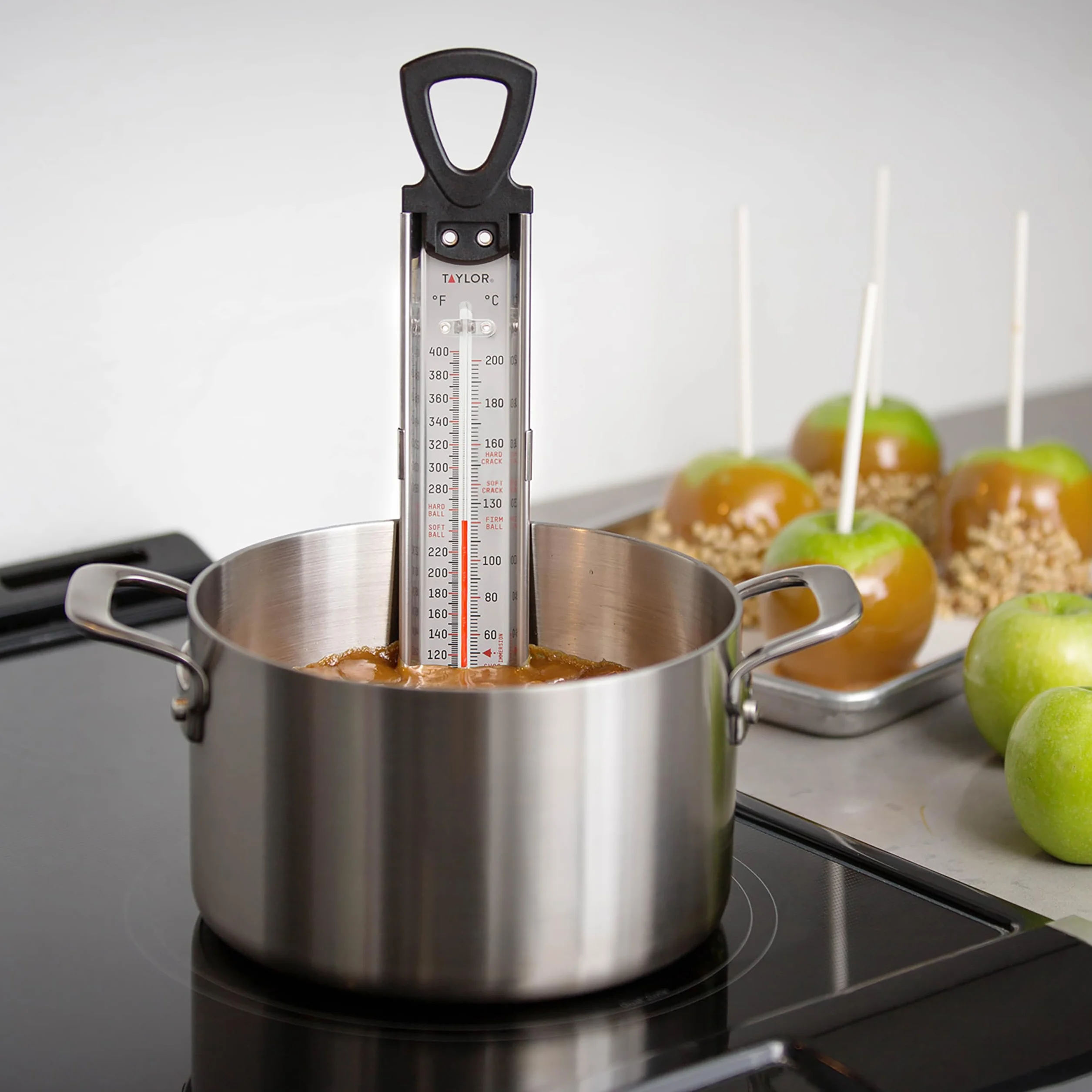 Taylor Precision Products Candy/Deep Fry Stainless Steel Thermometer