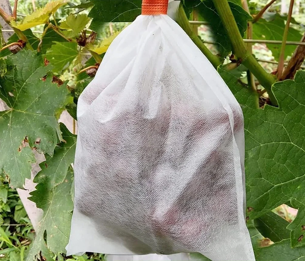 Siatki na owoce 100 sztuk Ogrodowe Rośliny Owoce Chronią Siatkę Ściąganą, Siatka Roślinna Pokrywa Plastikowa Do Ogrodu(28cmx38cm)