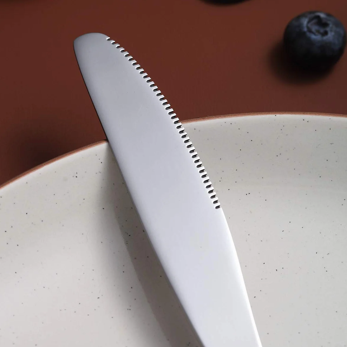 Kyraton 6-częściowy nóż do menu, stal nierdzewna, 22,8 cm, zestaw noży do steków, nóż stołowy, zestaw noży do masła, sztućce, nadaje się do mycia w zmywarce (srebrny)