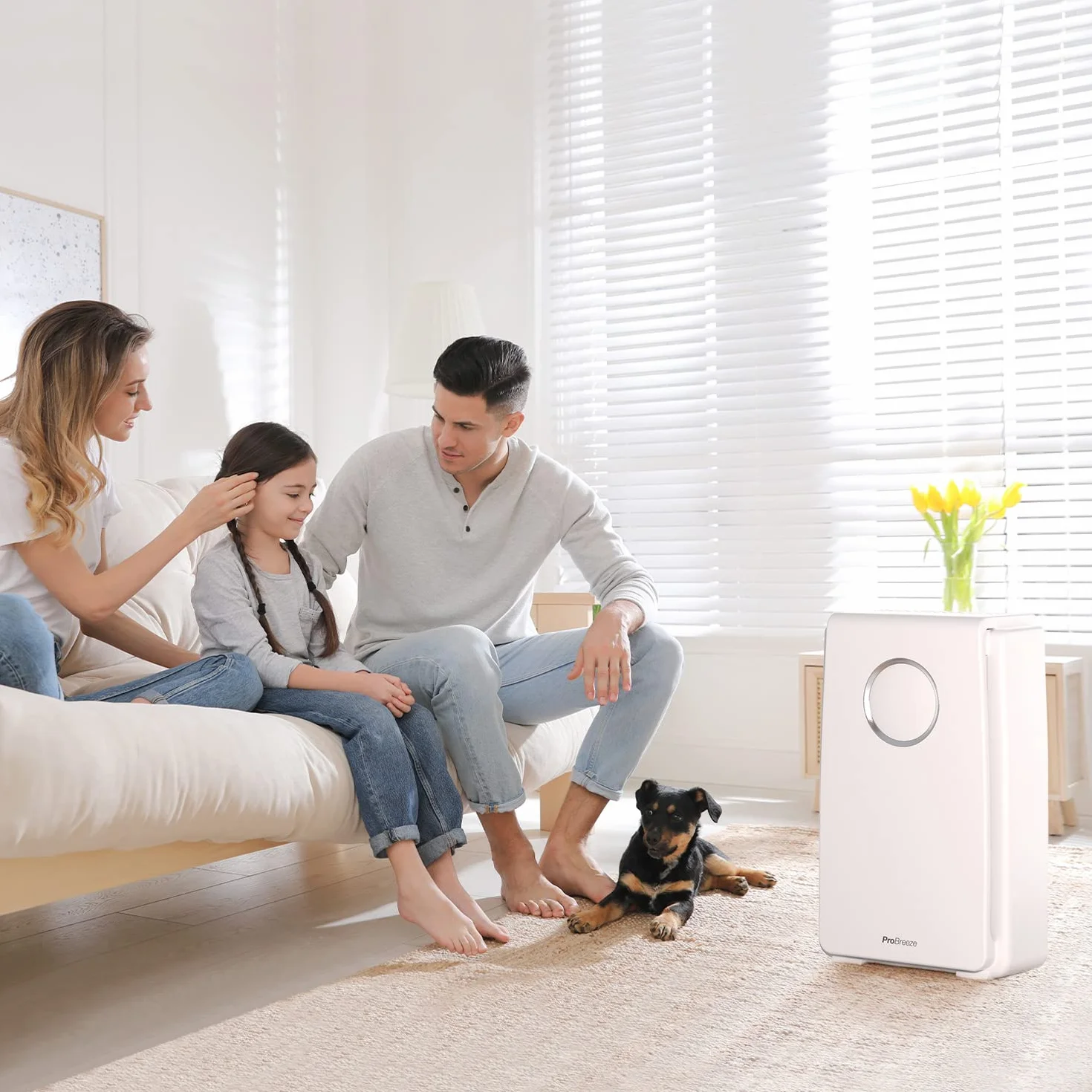 ProBreeze Oczyszczacz Powietrza z Jonizatorem do Domu, Filtr HEPA Węglowy, 4 Stopnie Filtracji, Generator Jonów Ujemnych, Duży Katalizator, dla Dzieci Zwierząt Palaczy Alergików Astmatyków