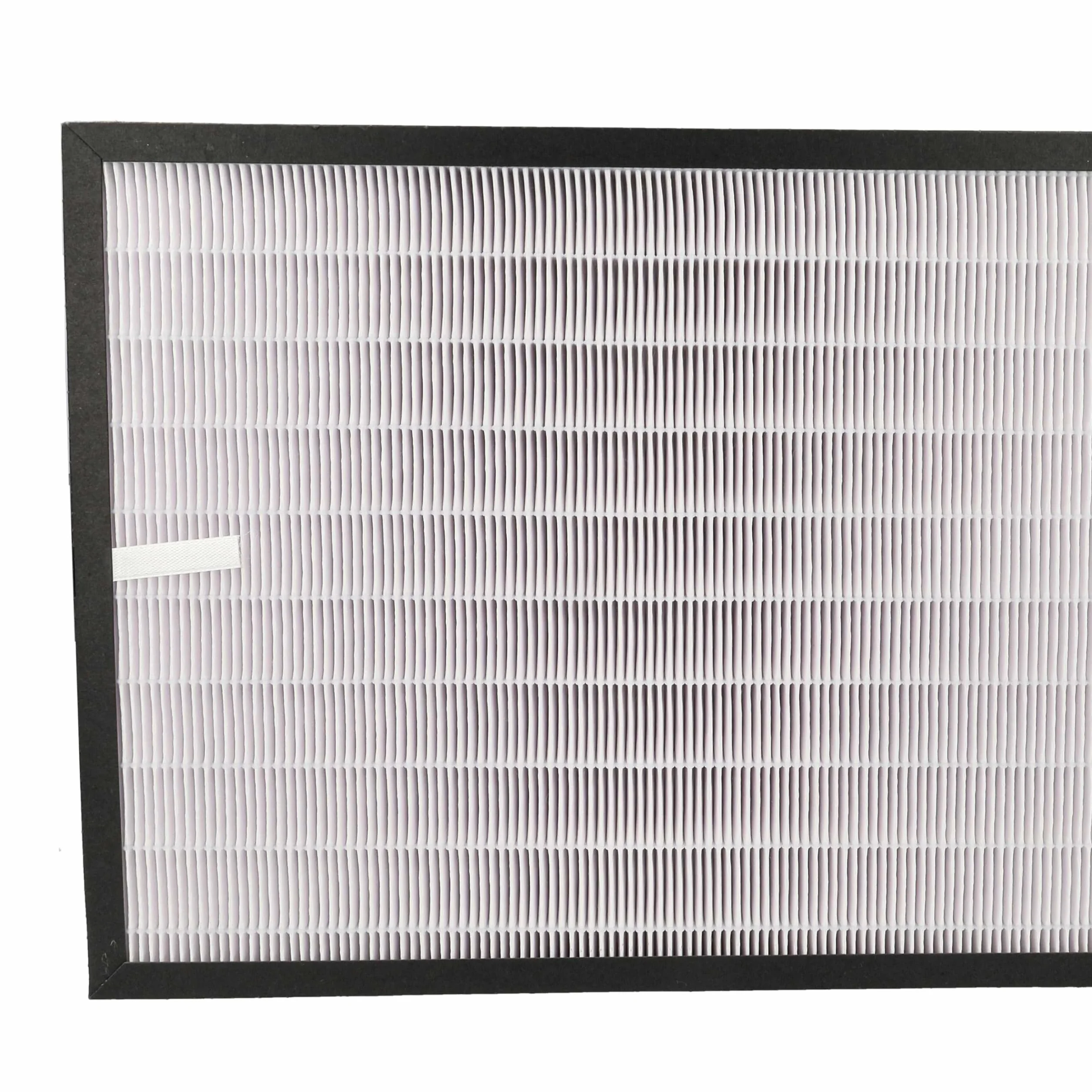 vhbw Filtr kombi 2 w 1, kompatybilny z oczyszczaczem powietrza DeLonghi AC 230, zamiennik filtra powietrza DeLonghi ACF-2 (5513710021)