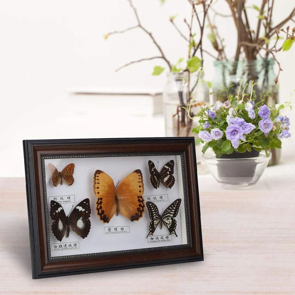 Exquisite Schmetterlinge Insekt Probe Handgemachtes für Freunde zu Hause Schmücken Ornament Schmetterling Wandkunst(Schwarz)