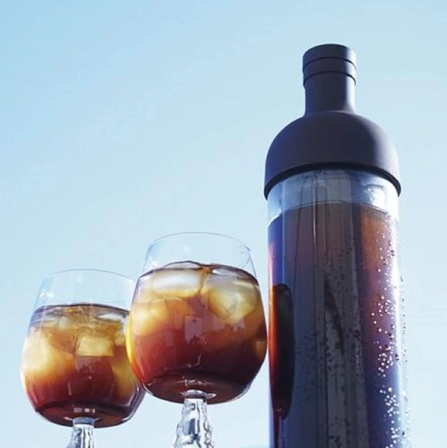 Hario Cold Brew Filtr w Butelce, Guma, Brązowy, 700 mililitrów