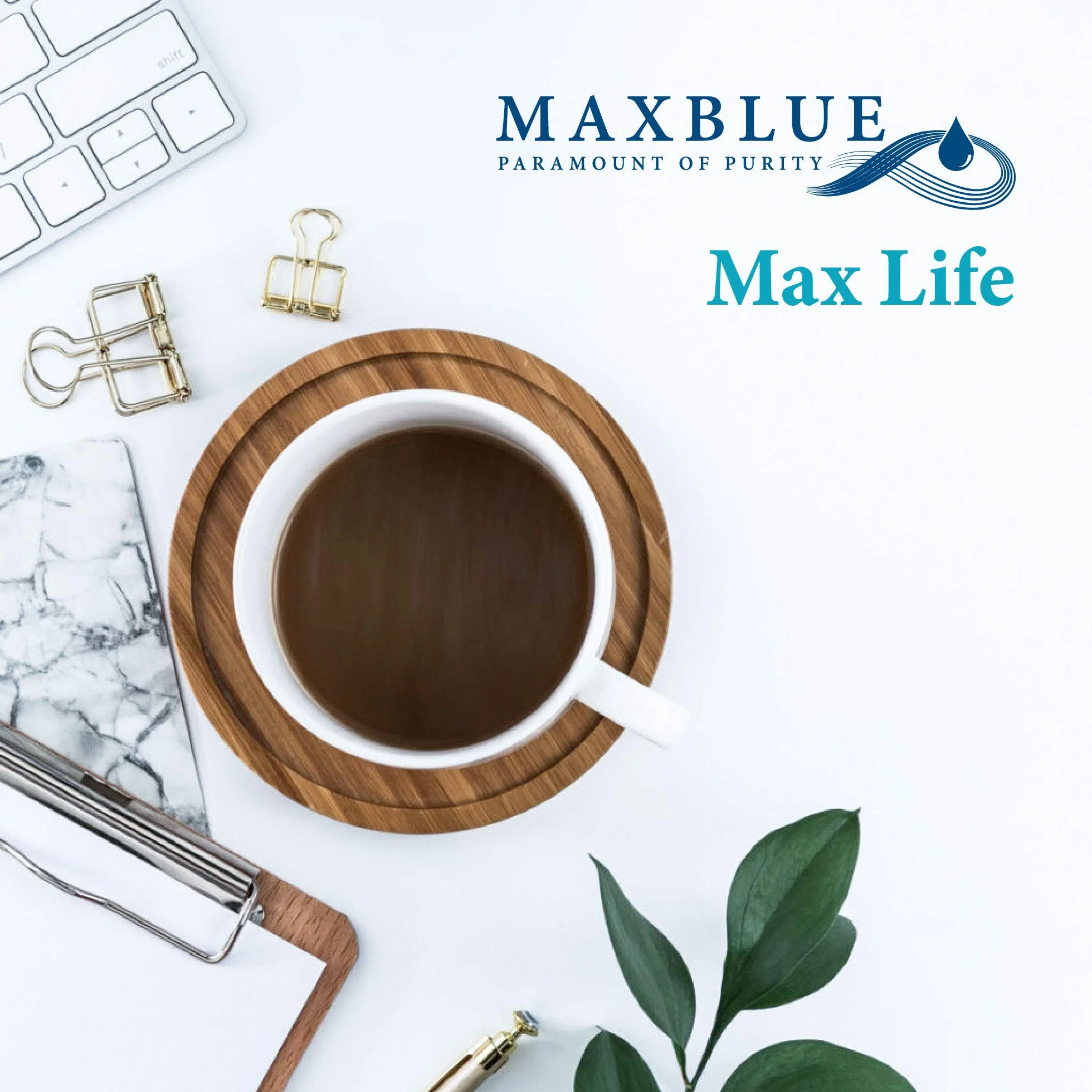 Maxblue F088 Filtr do Kawy, Kompatybilny z Krups® Claris® F088 Melitta® Pro Aqua, Pasuje do Wielu Modeli AEG®, Bosch®, Siemens®, Nivona®, Melitta®, Neff i Innych, Certyfikat TÜV SÜD (4)