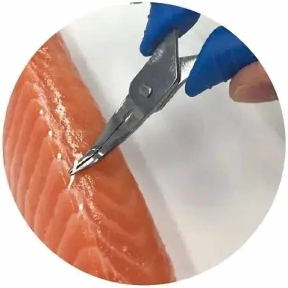 Pęseta ze stali nierdzewnej, Fish Bone