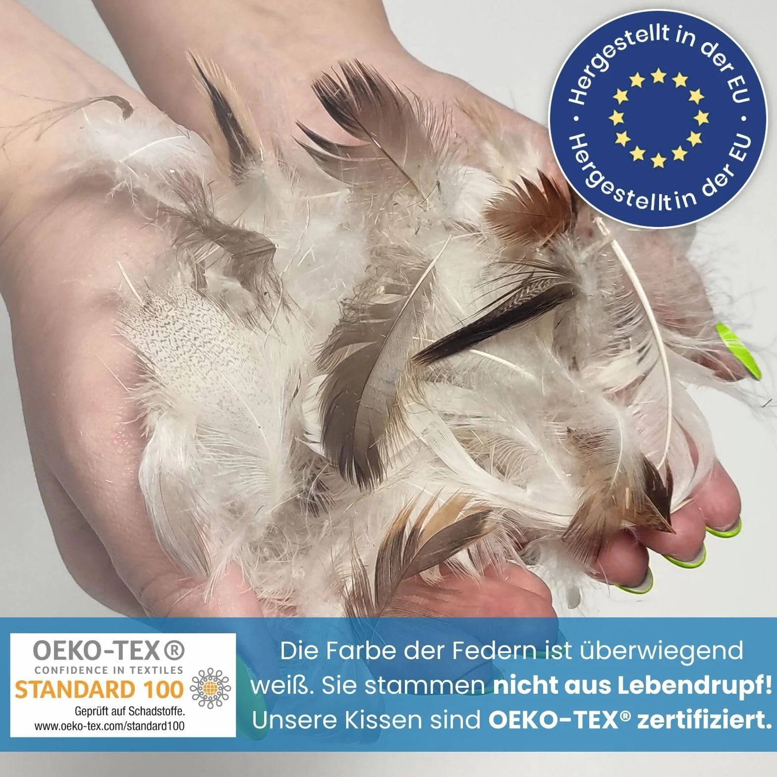 wometo Zestaw 2 poduszki z pierza 100% pióra 45x45-500g Oeko-TEX poduszka na sofę, wypełnienie do poduszki, poszewka z bawełny, biała/poduszka wewnętrzna/wypełnienie do poduszki/małe poduszki pod