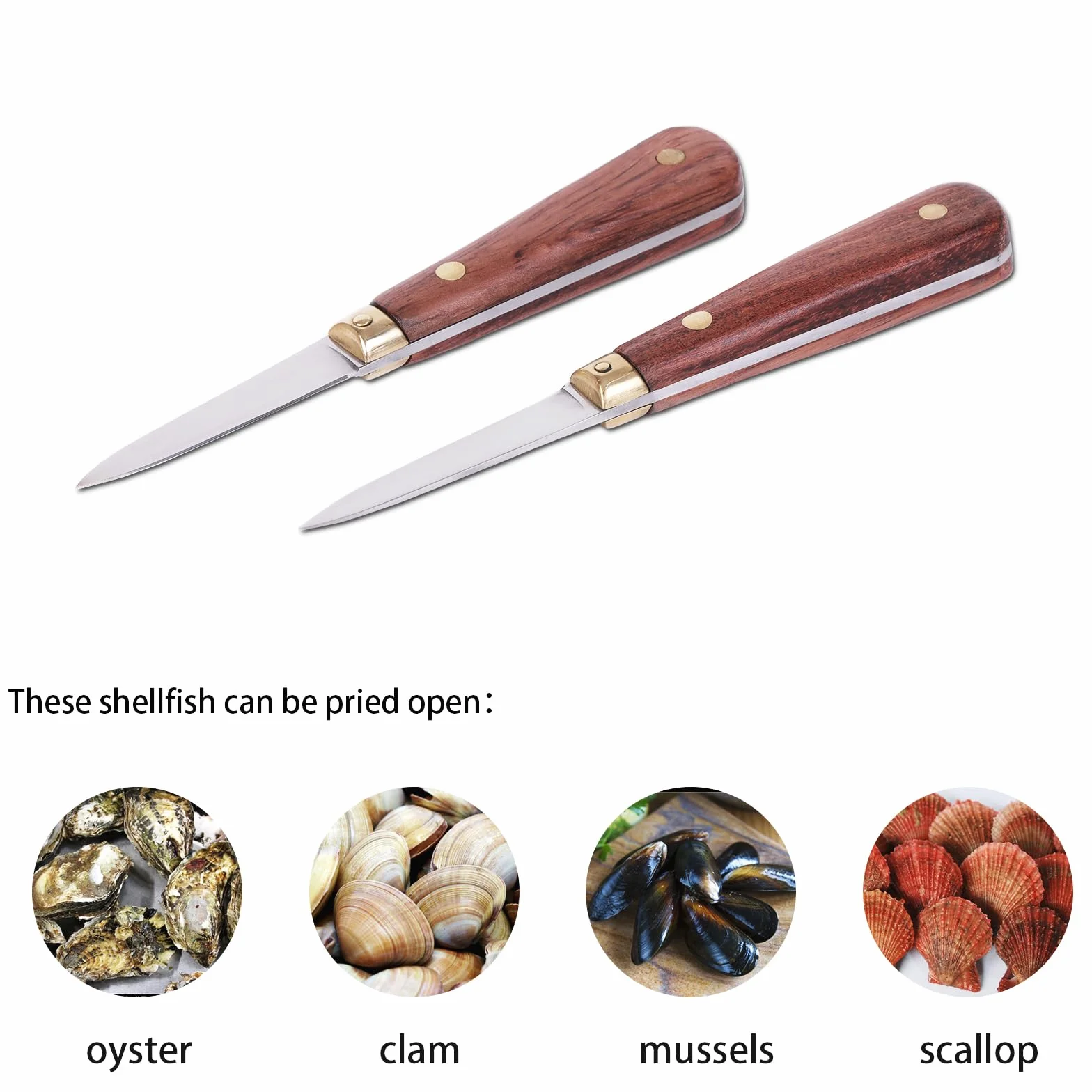 SPEENSUN Nóż Oyster Shucking, niełatwy do złamania i zginania ze wzmocnieniem ostrzy, bezpieczniejszy dzięki nożowi ostrygowemu i rękawicom (2 noże i 1 rękawica L)