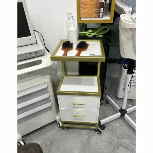 Wózek do przechowywania salonu piękności, wózek na kółkach z 2 szufladami, szafka na stacje salonowe, do salonu piękności, SPA, salonu fryzjerskiego, szary