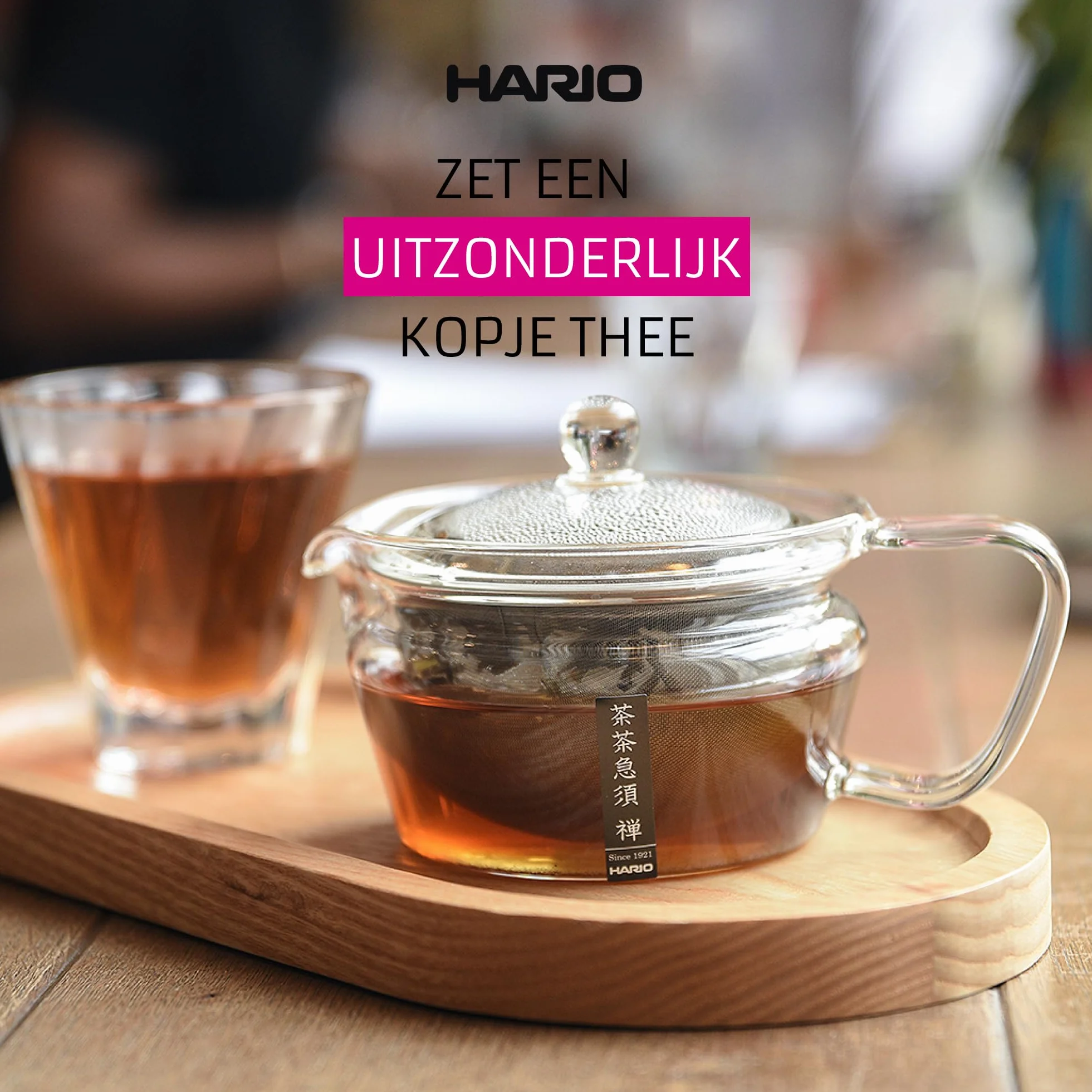 Hario Kyusu-Maru czajnik do herbaty 450 ml szkło przezroczysty